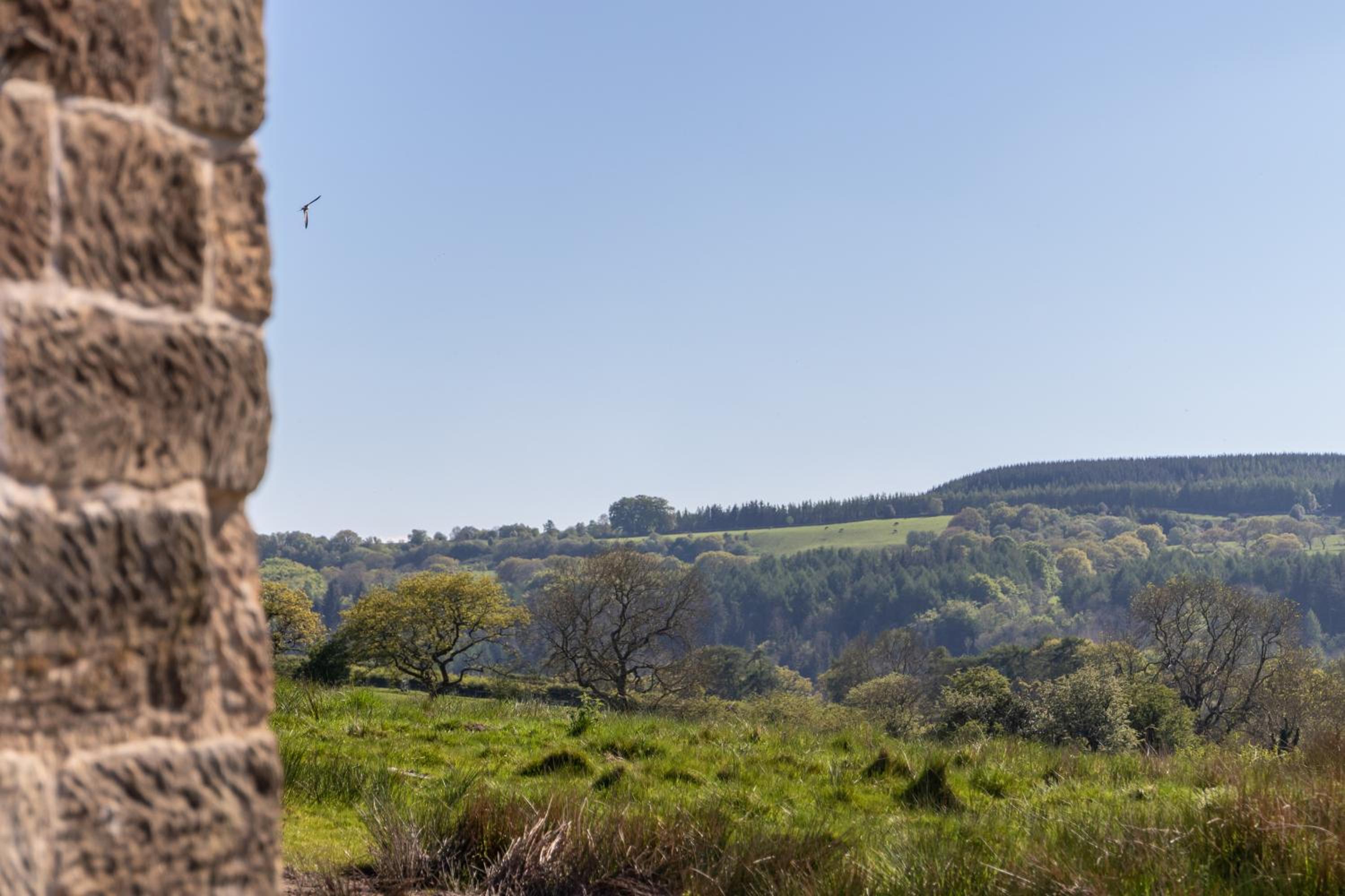 Green End Farm Cottages - The Cow Barn view 4
