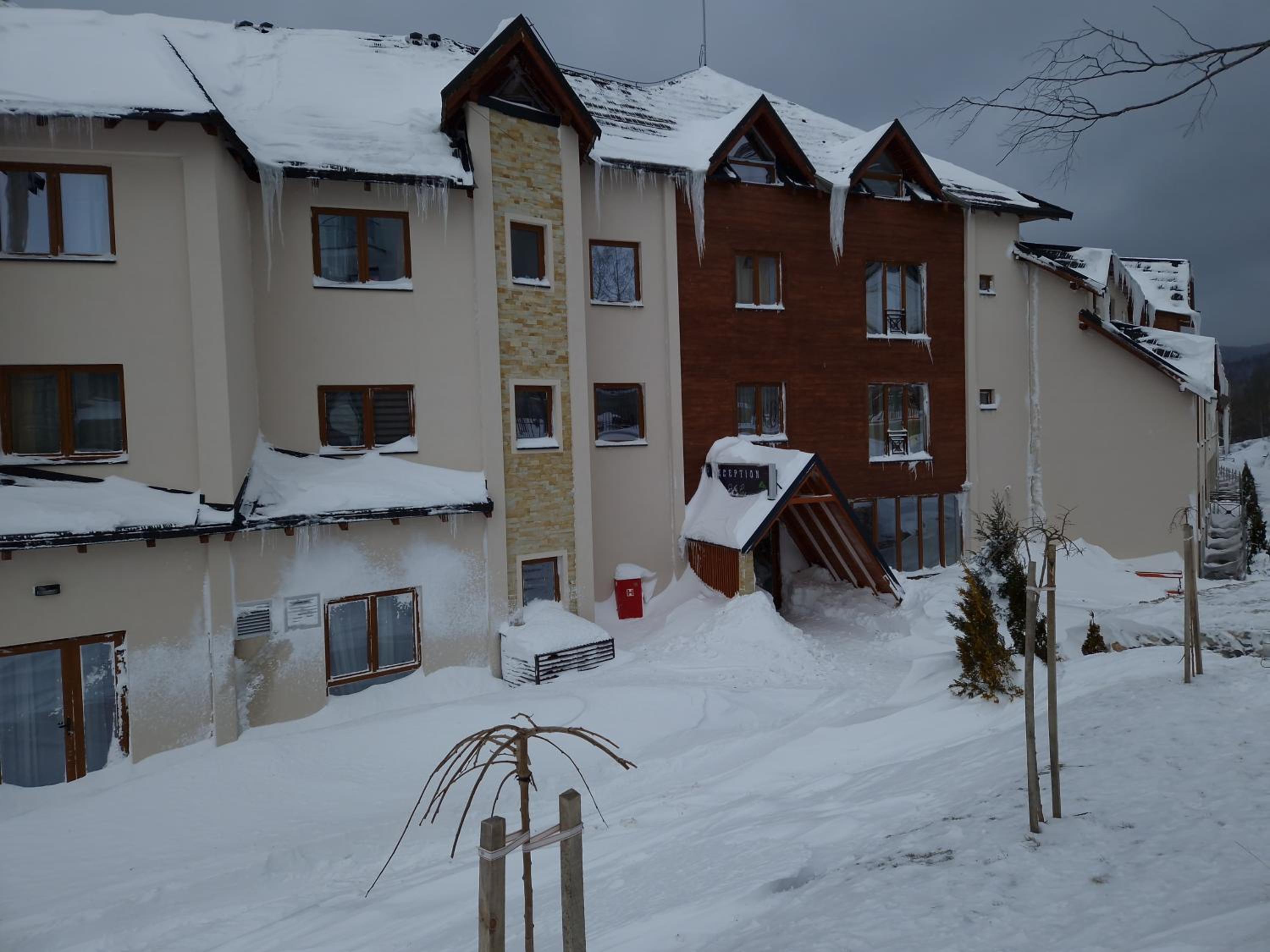 Photo 44