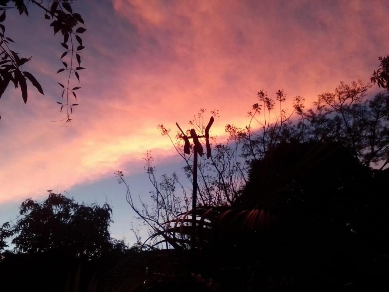 Tinto Hostel view 5