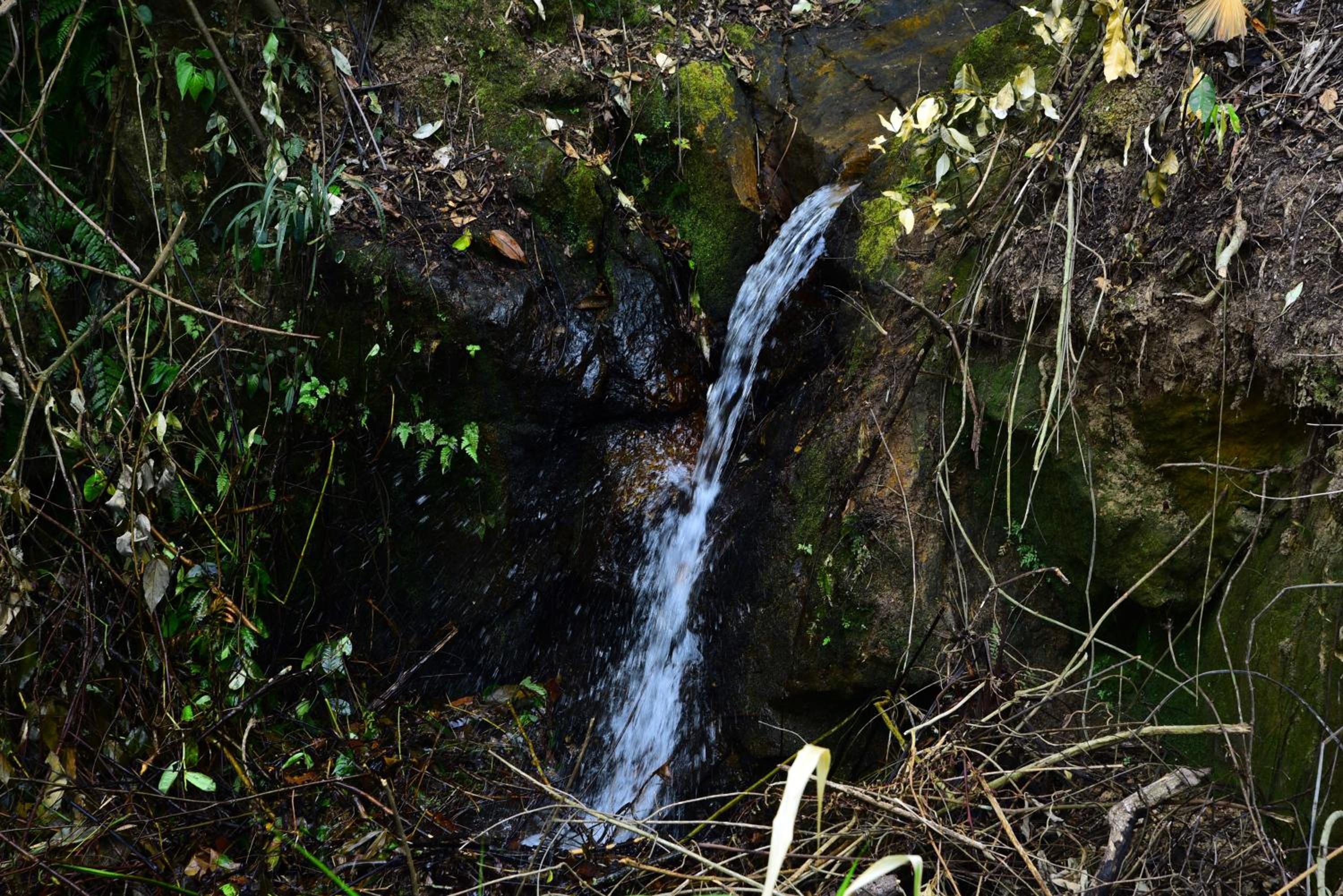 Photo 34