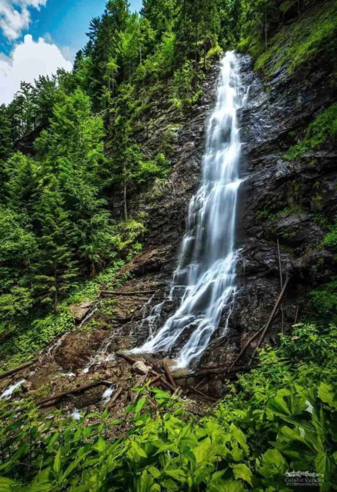 Mountain escape in Carpathian