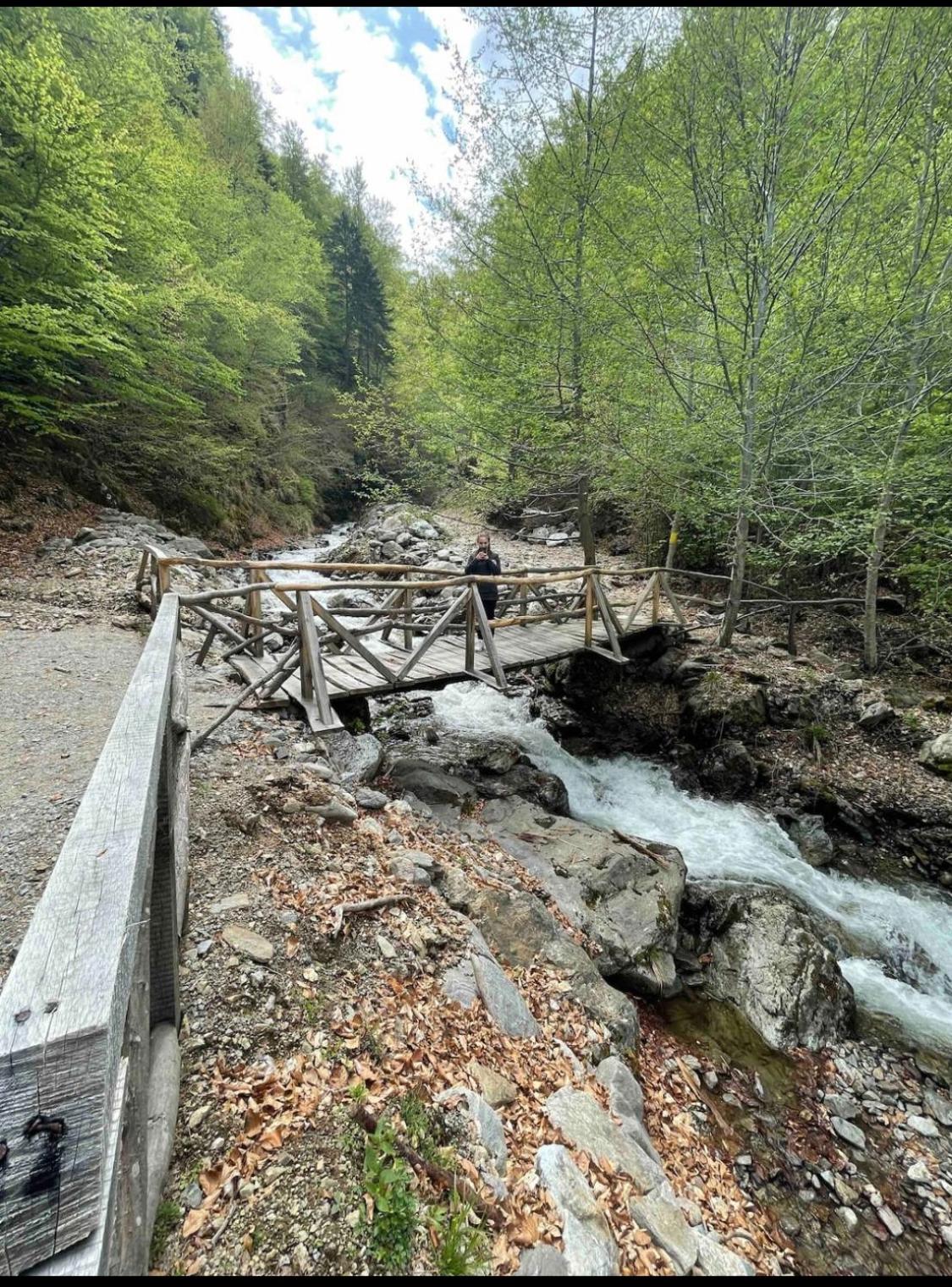 Mountain escape in Carpathian