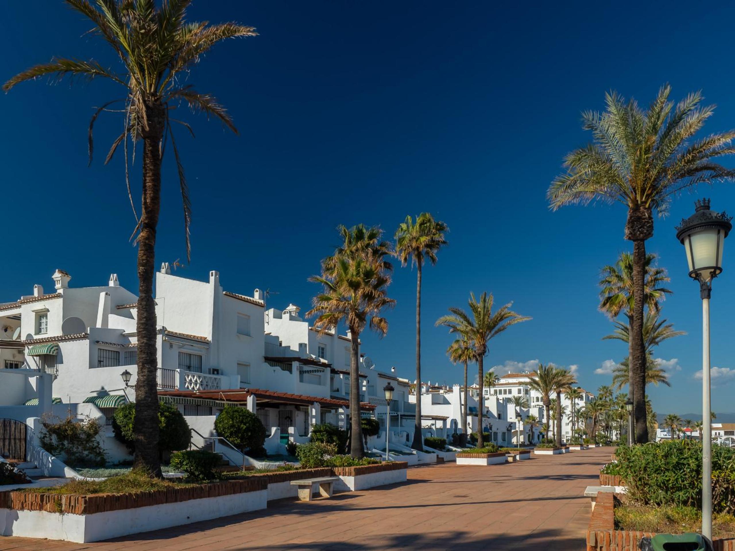 2290-Apt with terrace sea view and pools view 4
