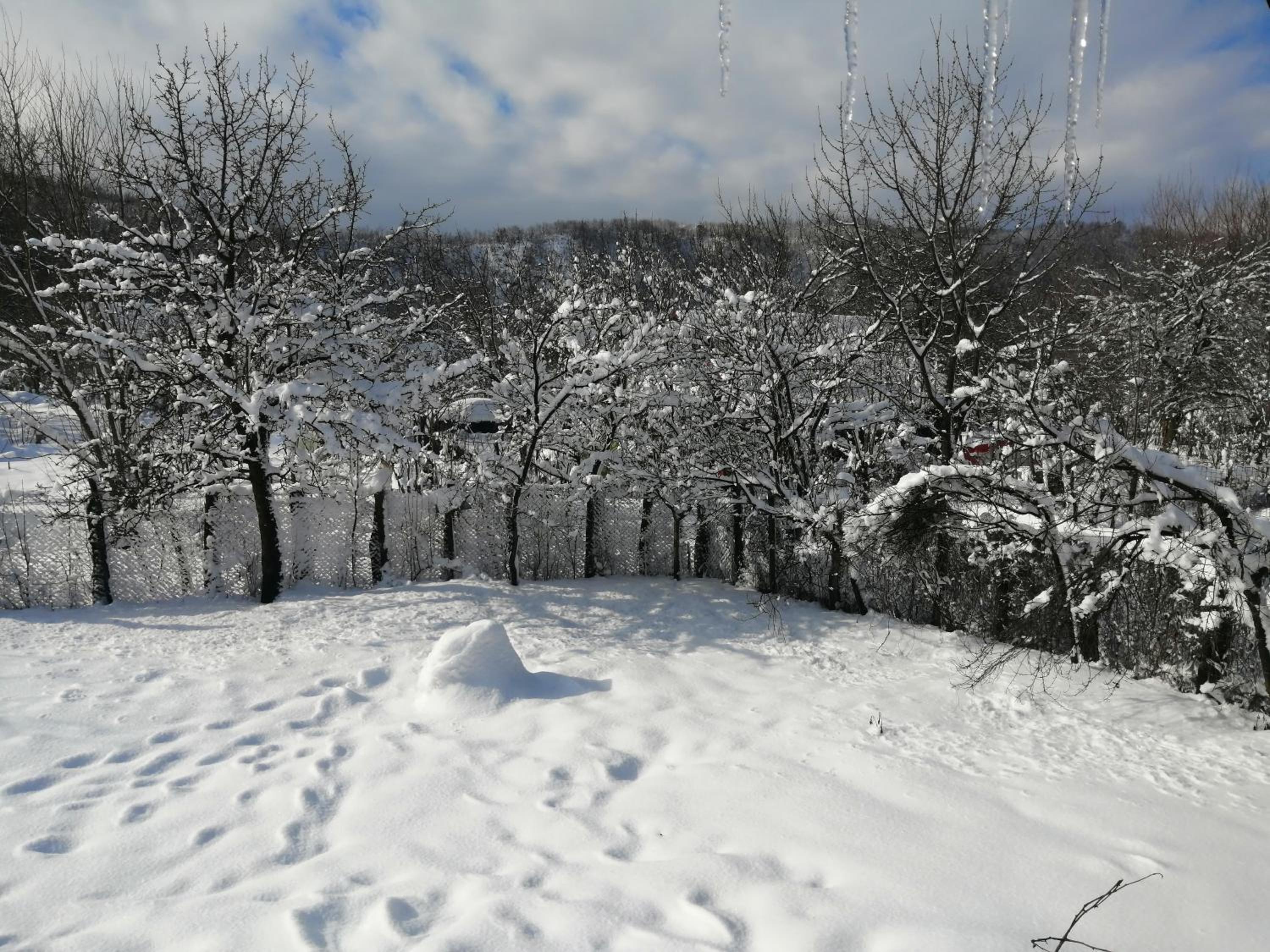 Photo 9