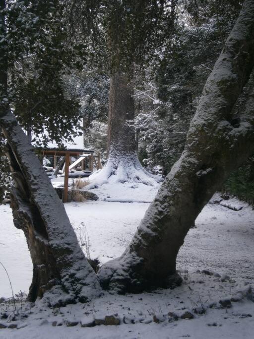 Casa en el bosque de Puerto Manzano