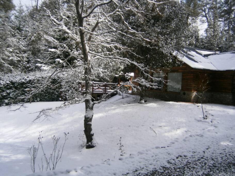 Casa en el bosque de Puerto Manzano