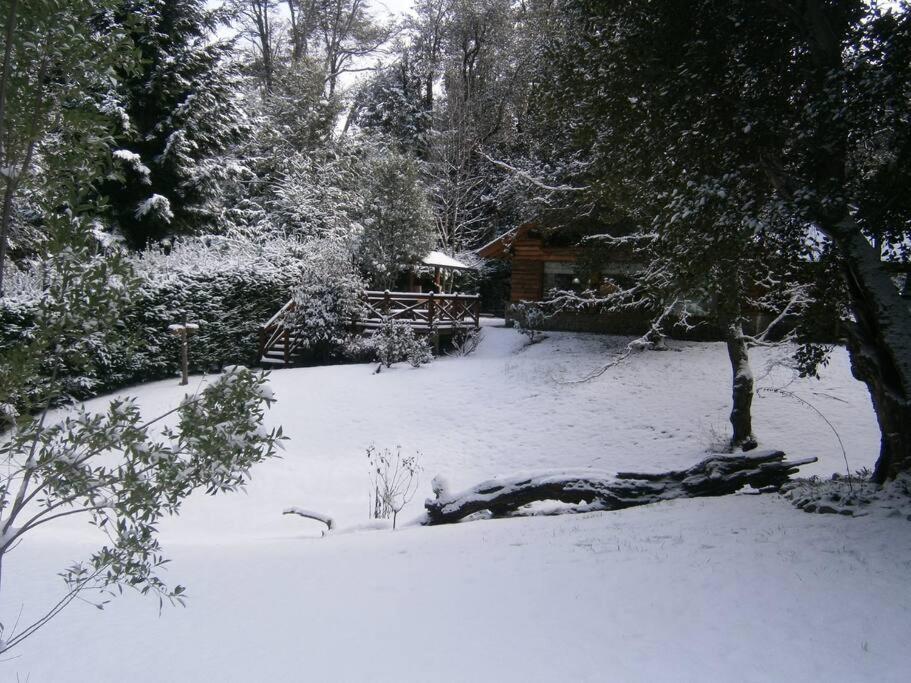 Casa en el bosque de Puerto Manzano