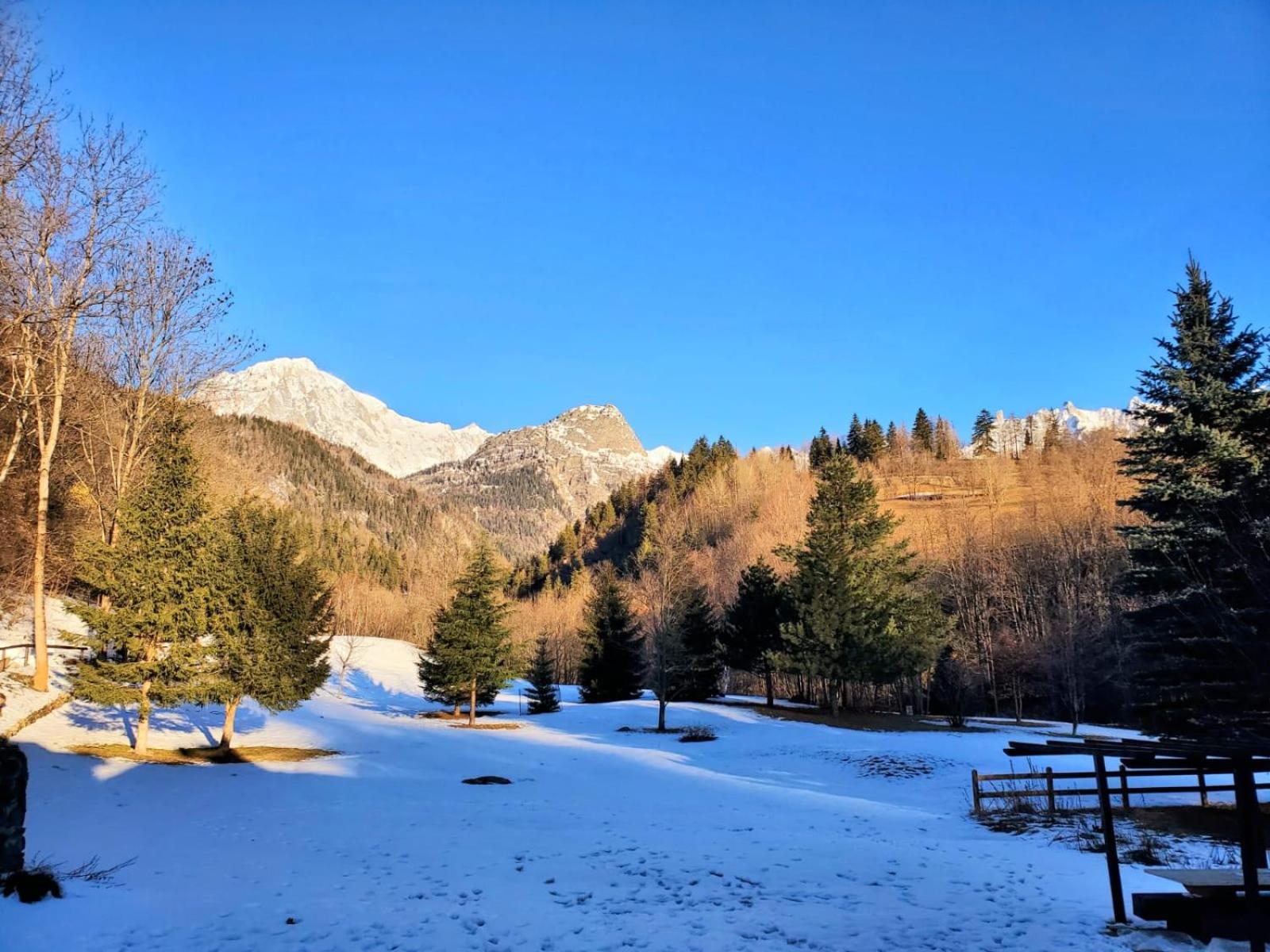 Champex Apartments