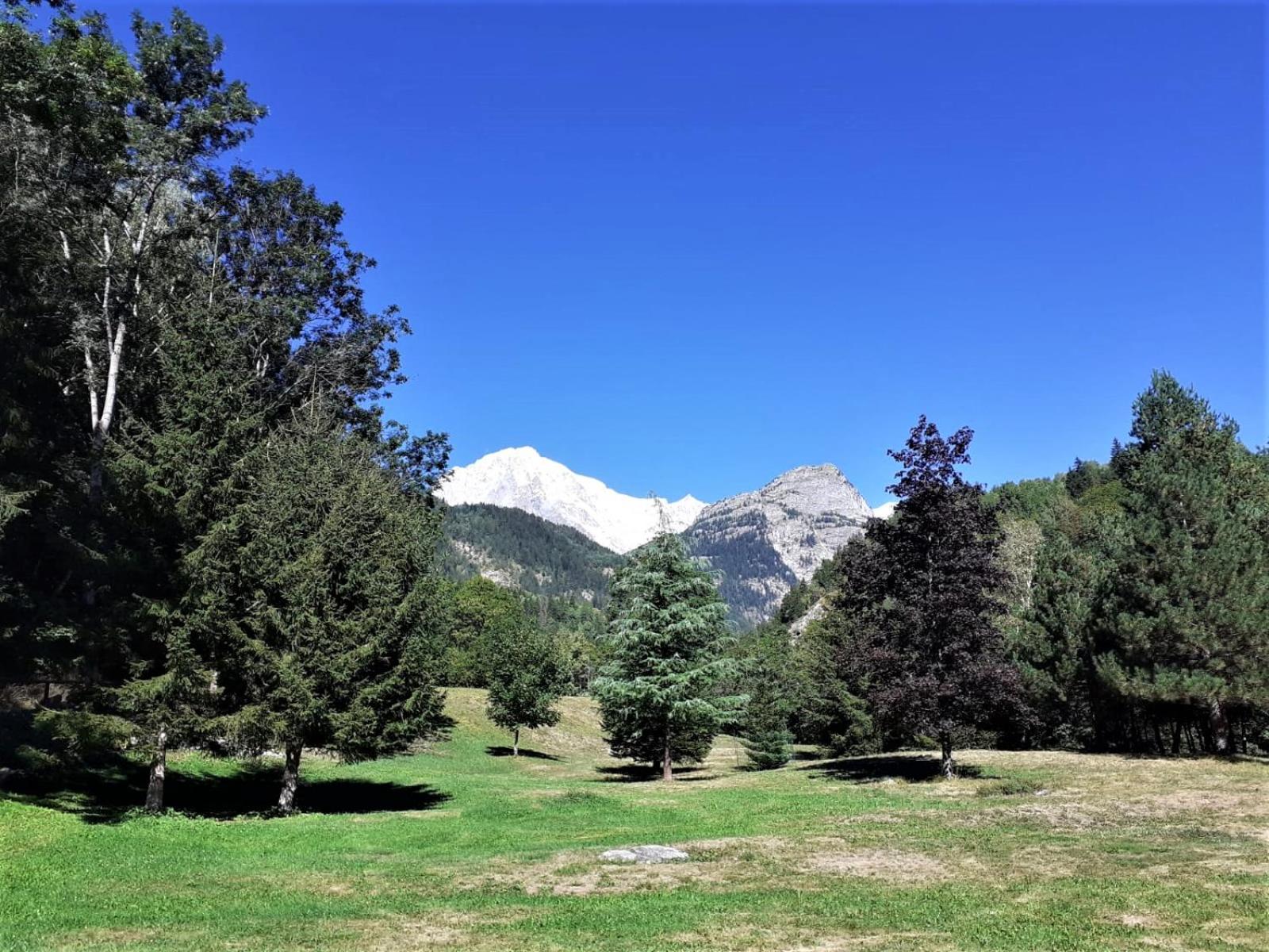Champex Apartments