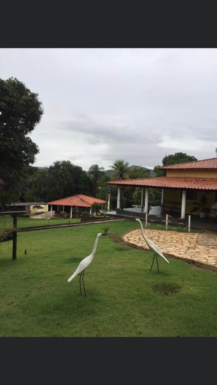Rancho Bonanza Piri
