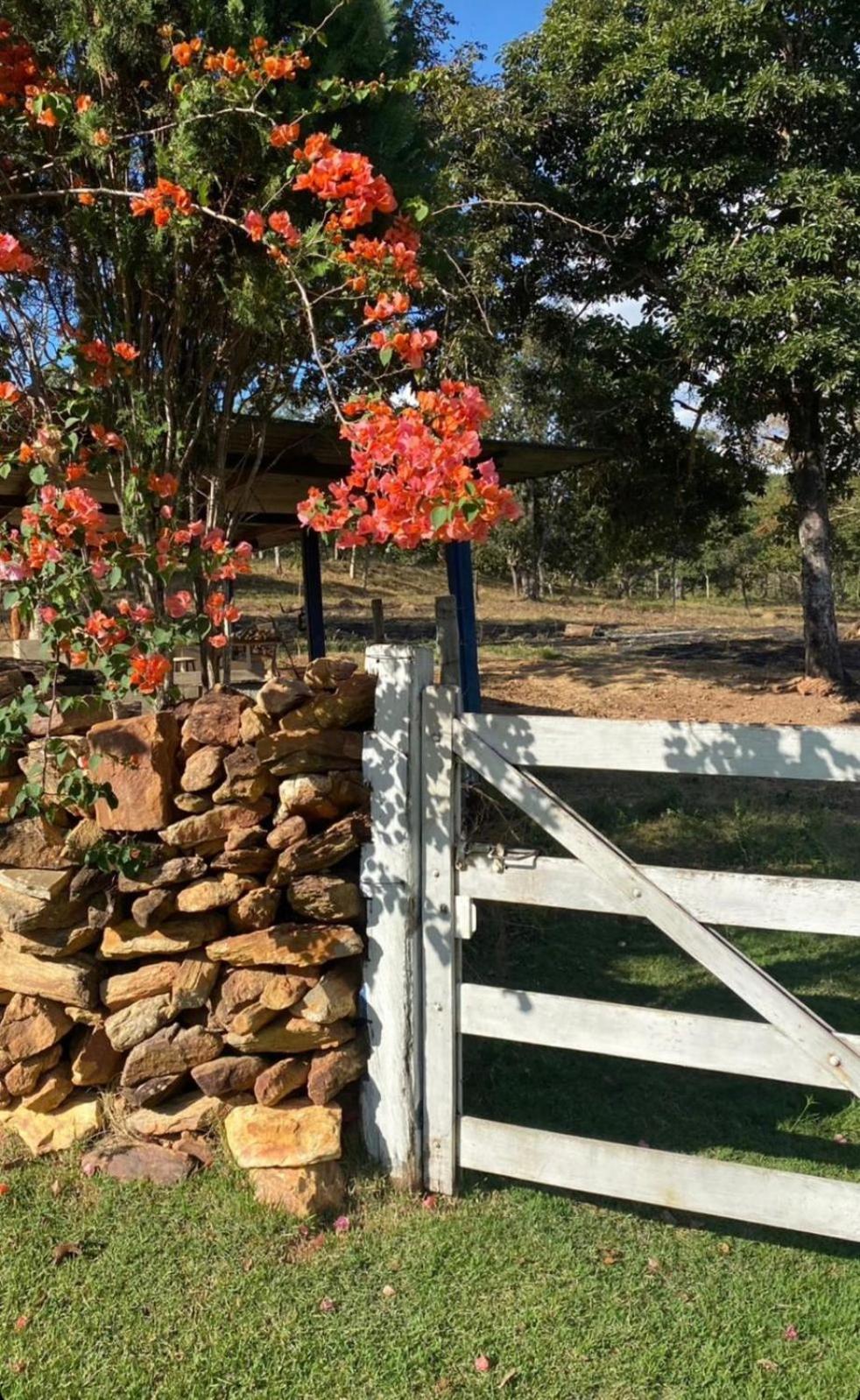 Rancho Bonanza Piri