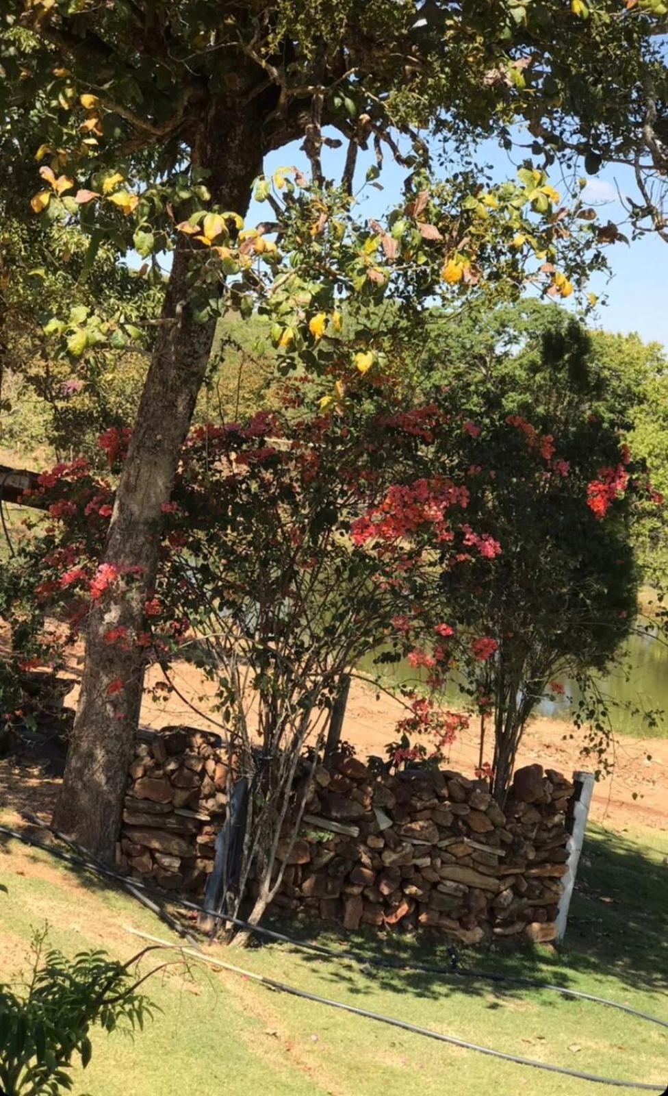 Rancho Bonanza Piri