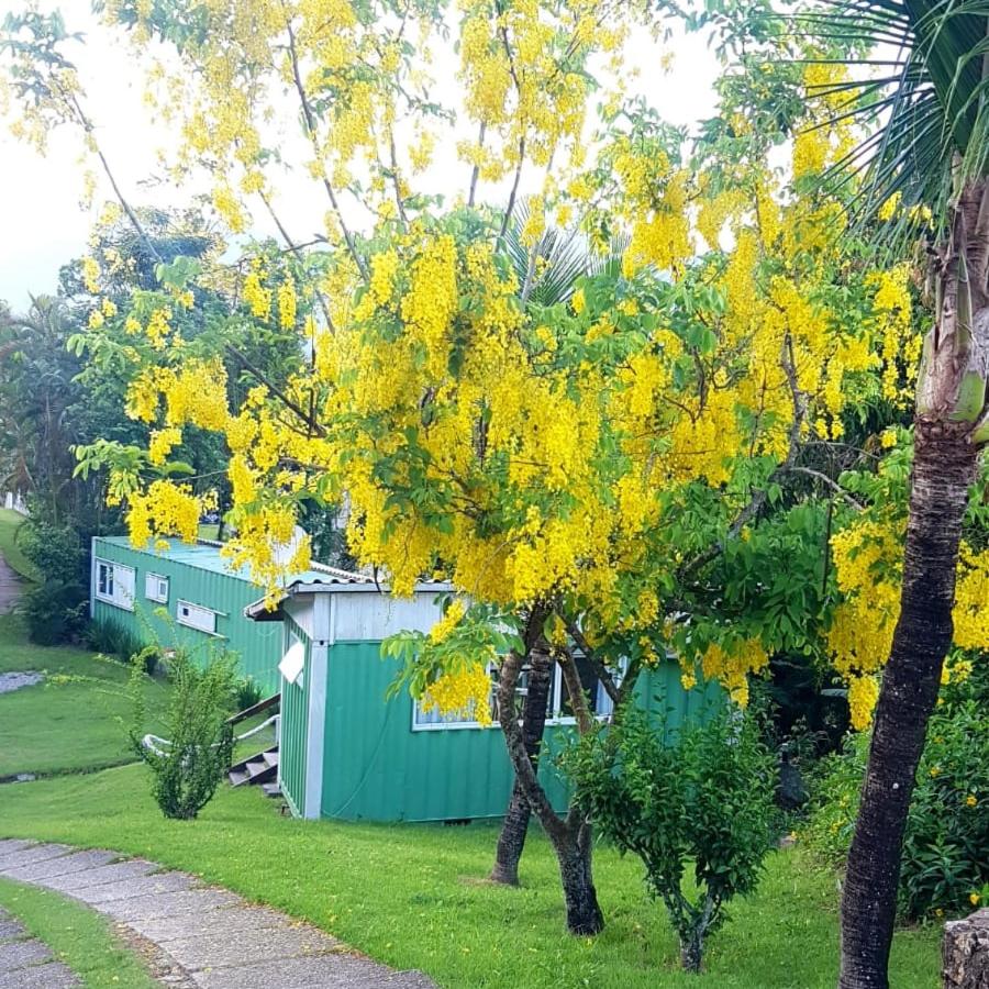 Vila Lia