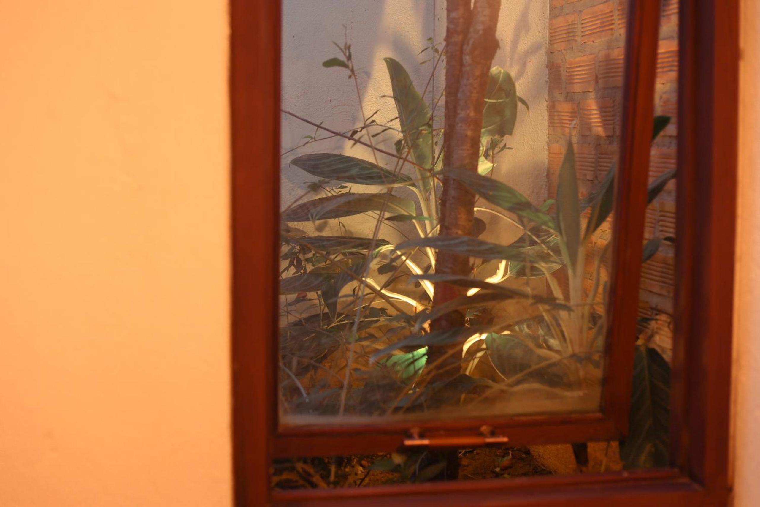 Photo 36