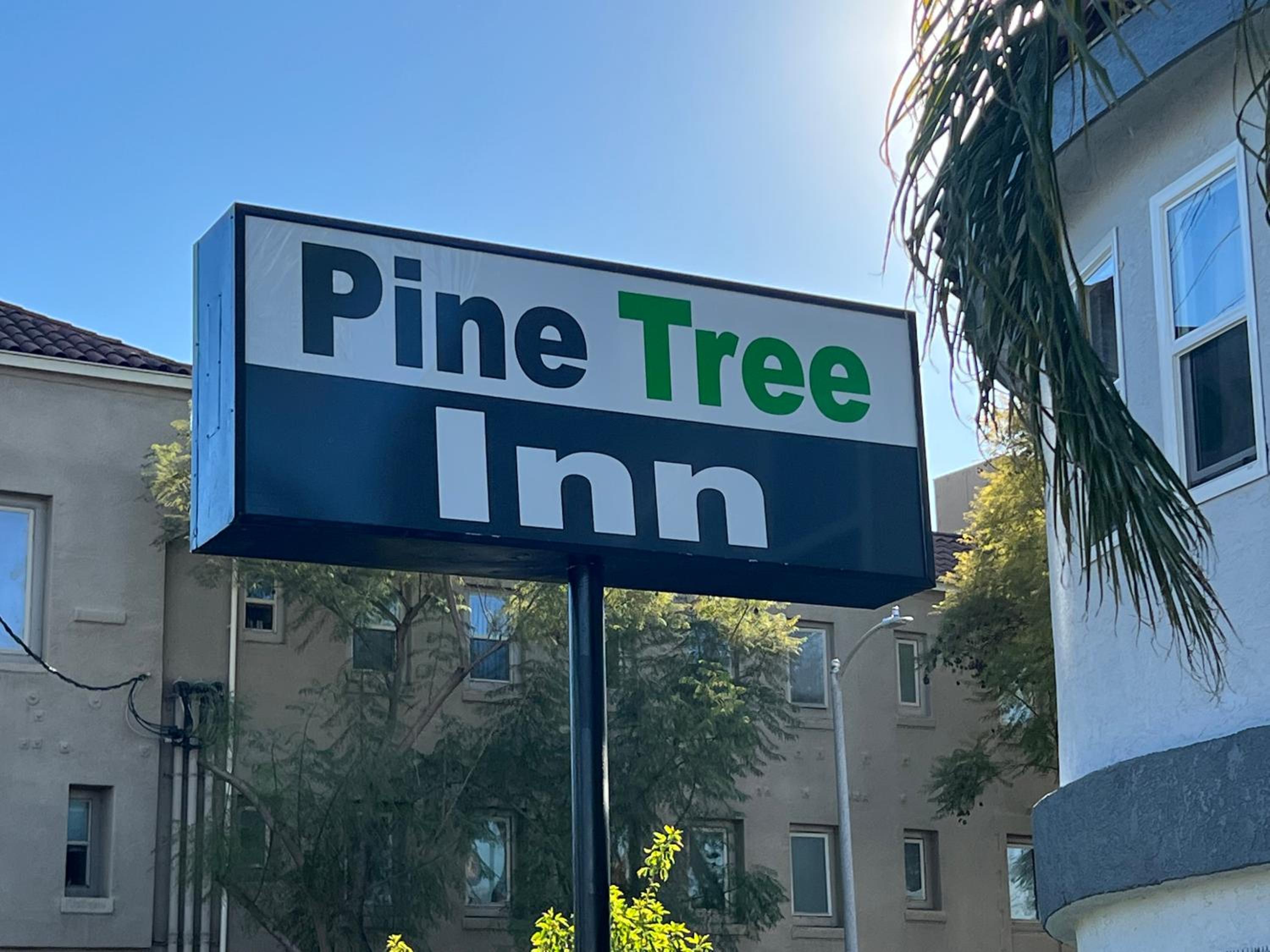 Pine tree inn