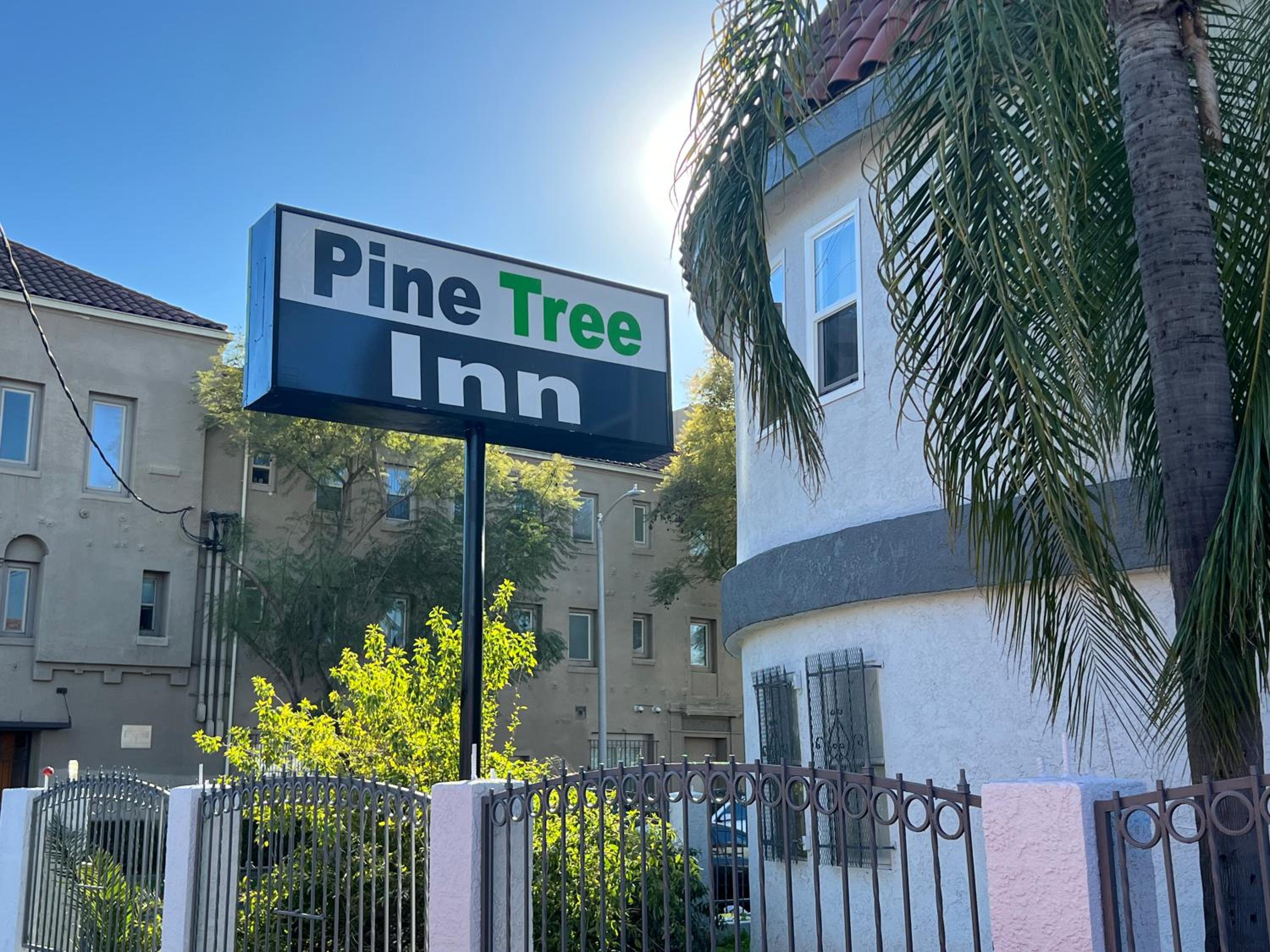 Pine tree inn