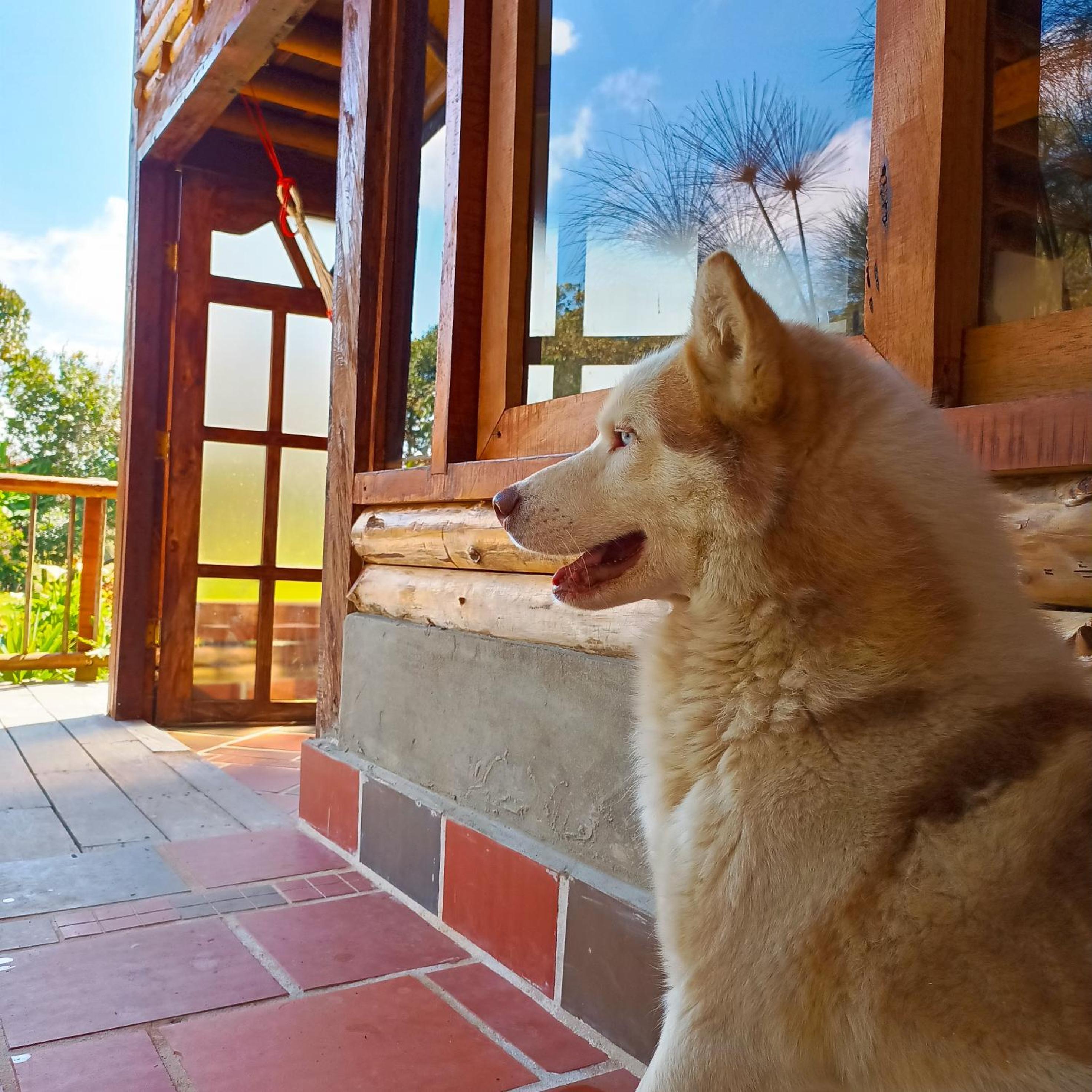 Chalet del lago Santa Elena