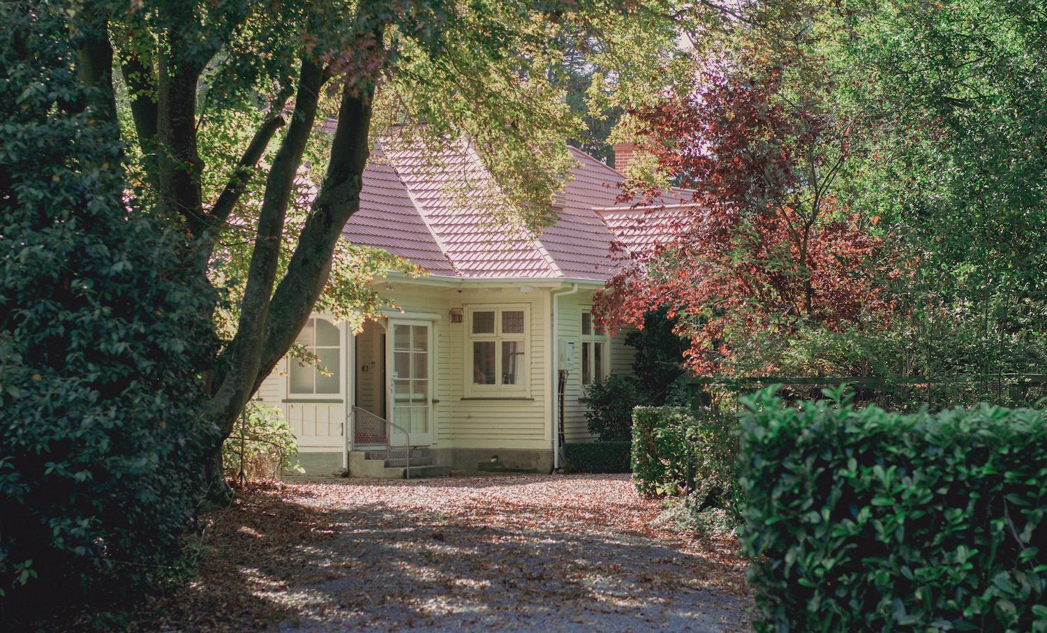 Photo 13