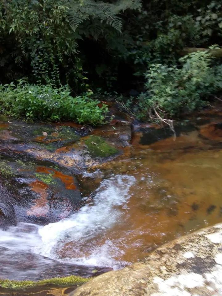 Bangalô - Sítio Cachoeiras do Caledônia