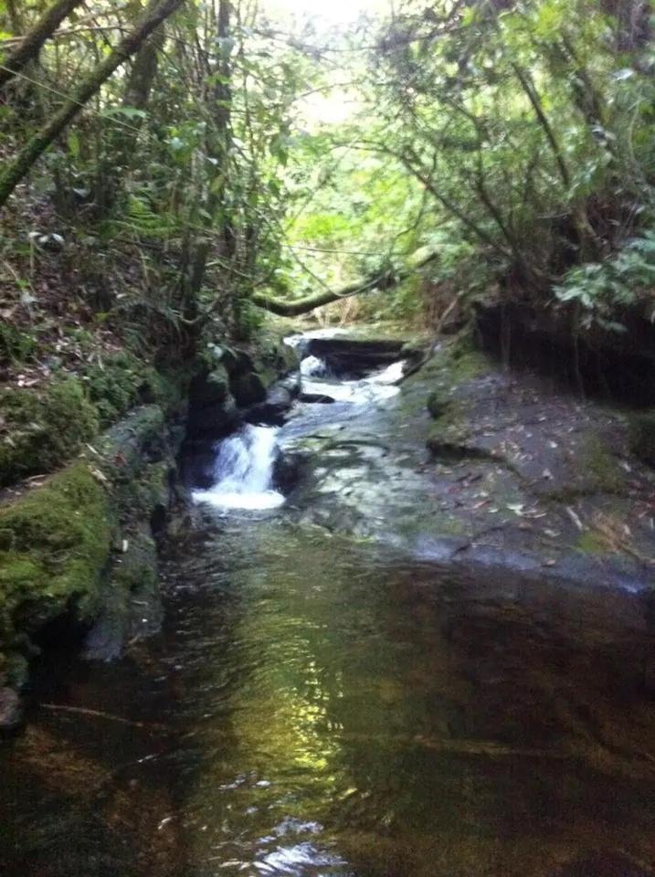 Bangalô - Sítio Cachoeiras do Caledônia