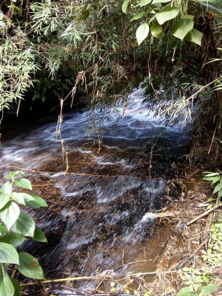 Bangalô - Sítio Cachoeiras do Caledônia