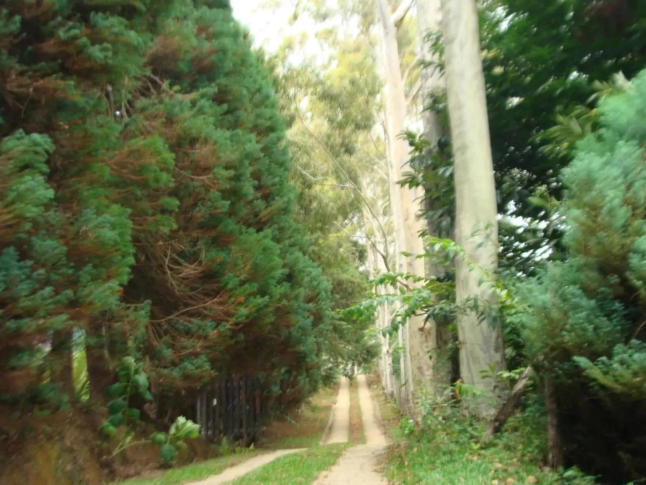 Bangalô - Sítio Cachoeiras do Caledônia