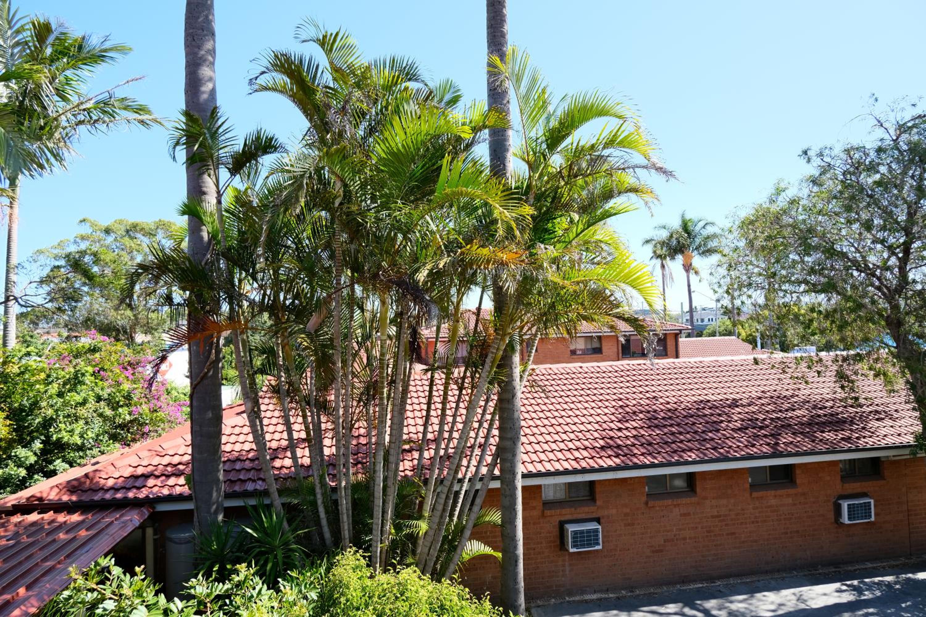 Sapphire Palms Motel