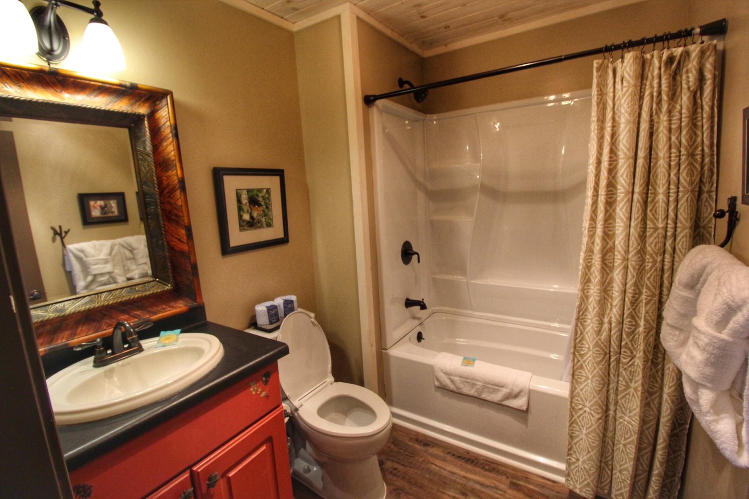 Paradise Vista, Amazing Mtn Views, Hot Tub, 560 FREE tickets each paid day!!!