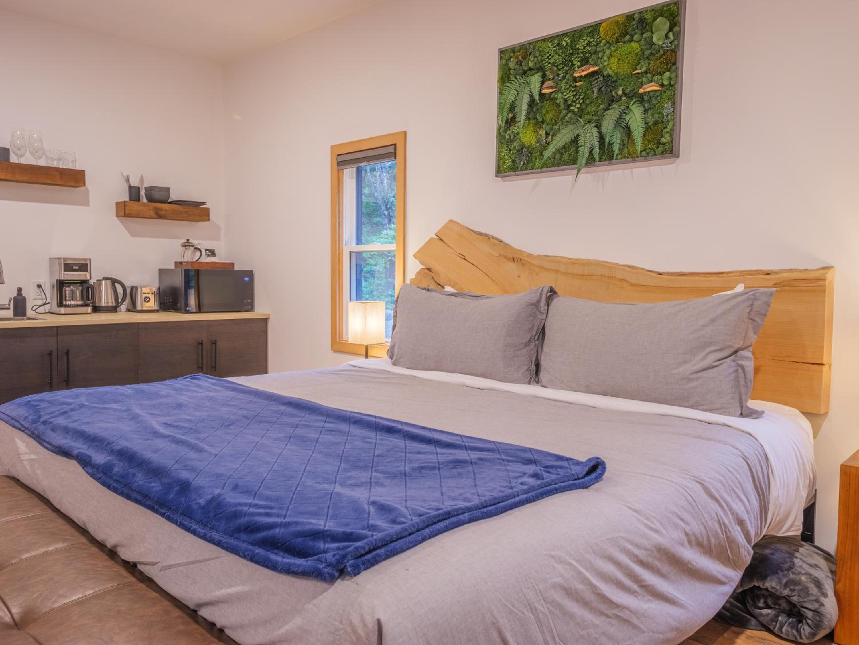 Winter's Hideaway Suite - Image 1