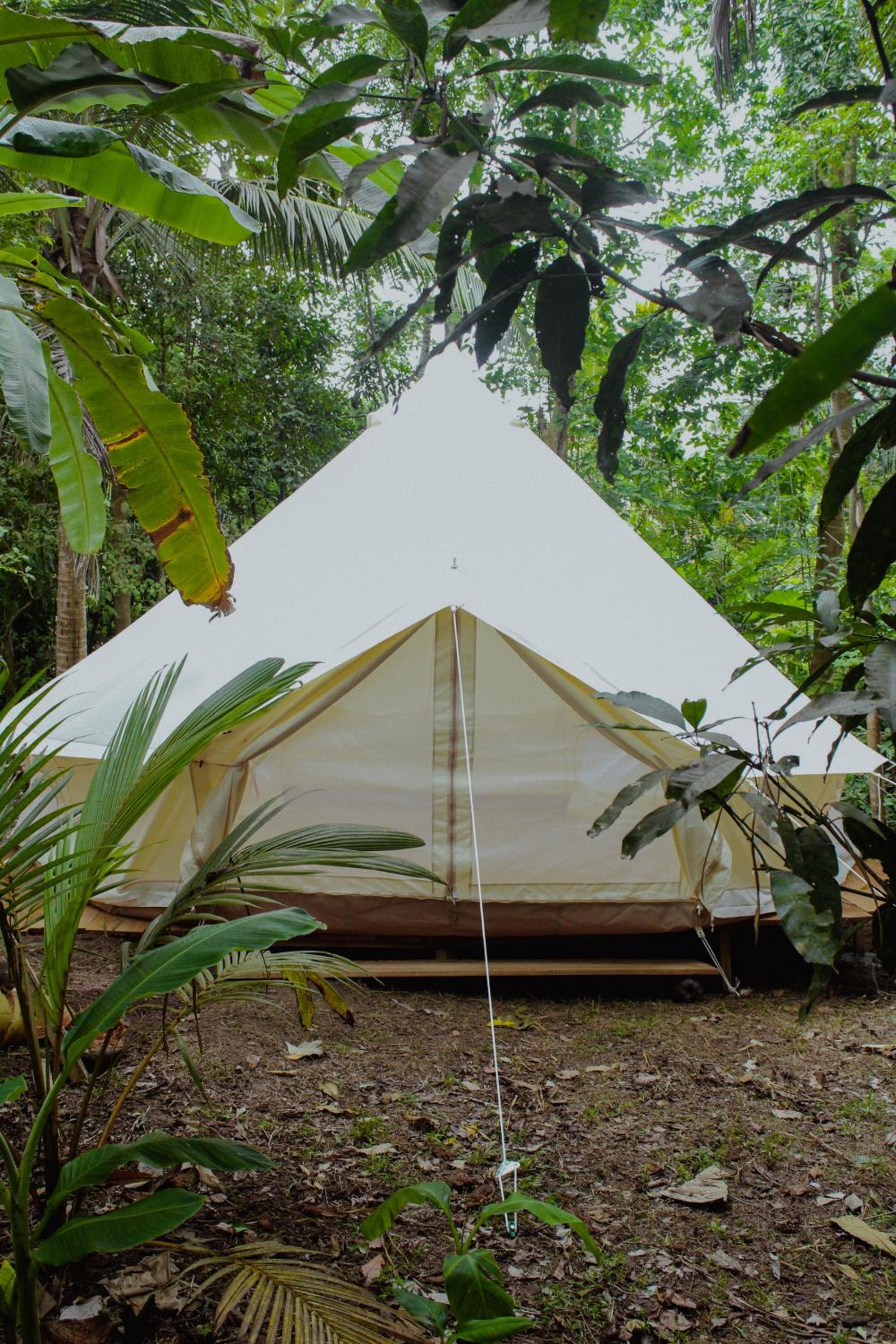 Nature Rex Hostel, photo 39