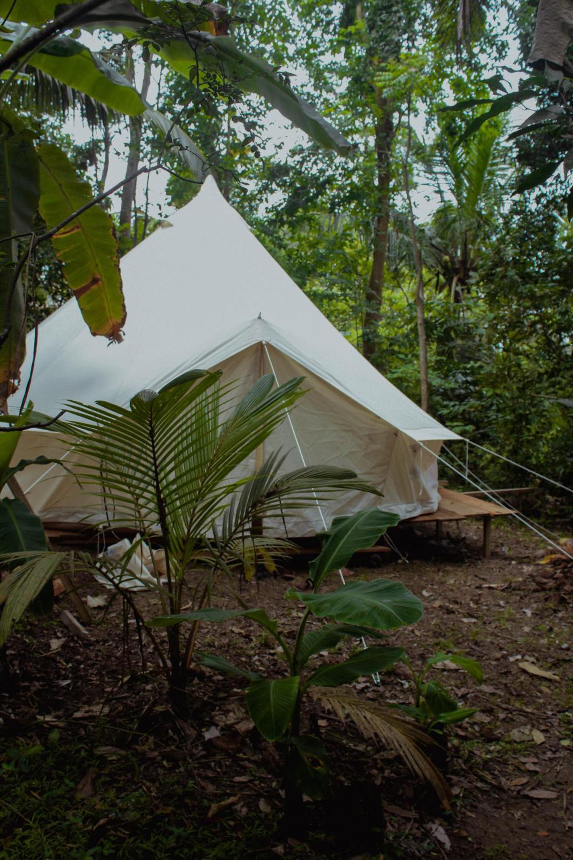 Nature Rex Hostel, photo 53