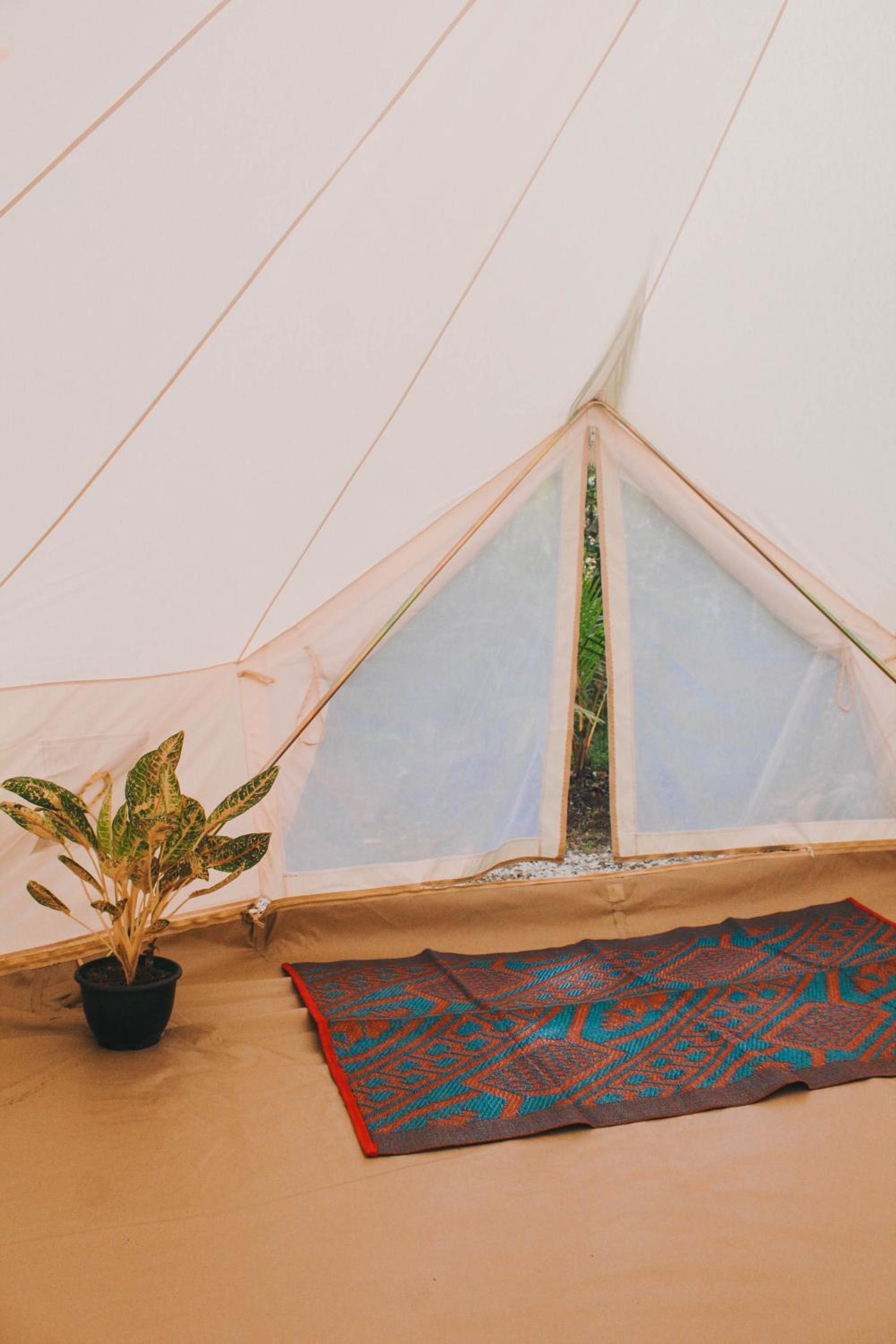 Nature Rex Hostel, photo 38