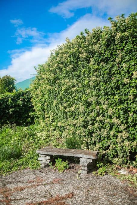 Charming Vinyard House - Lake Geneva