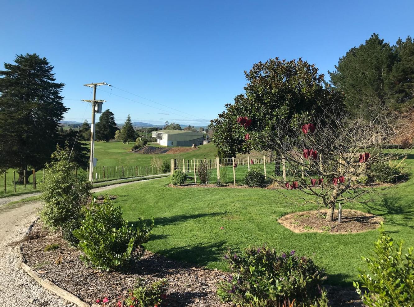 Waitomo Golf Ridge view 3