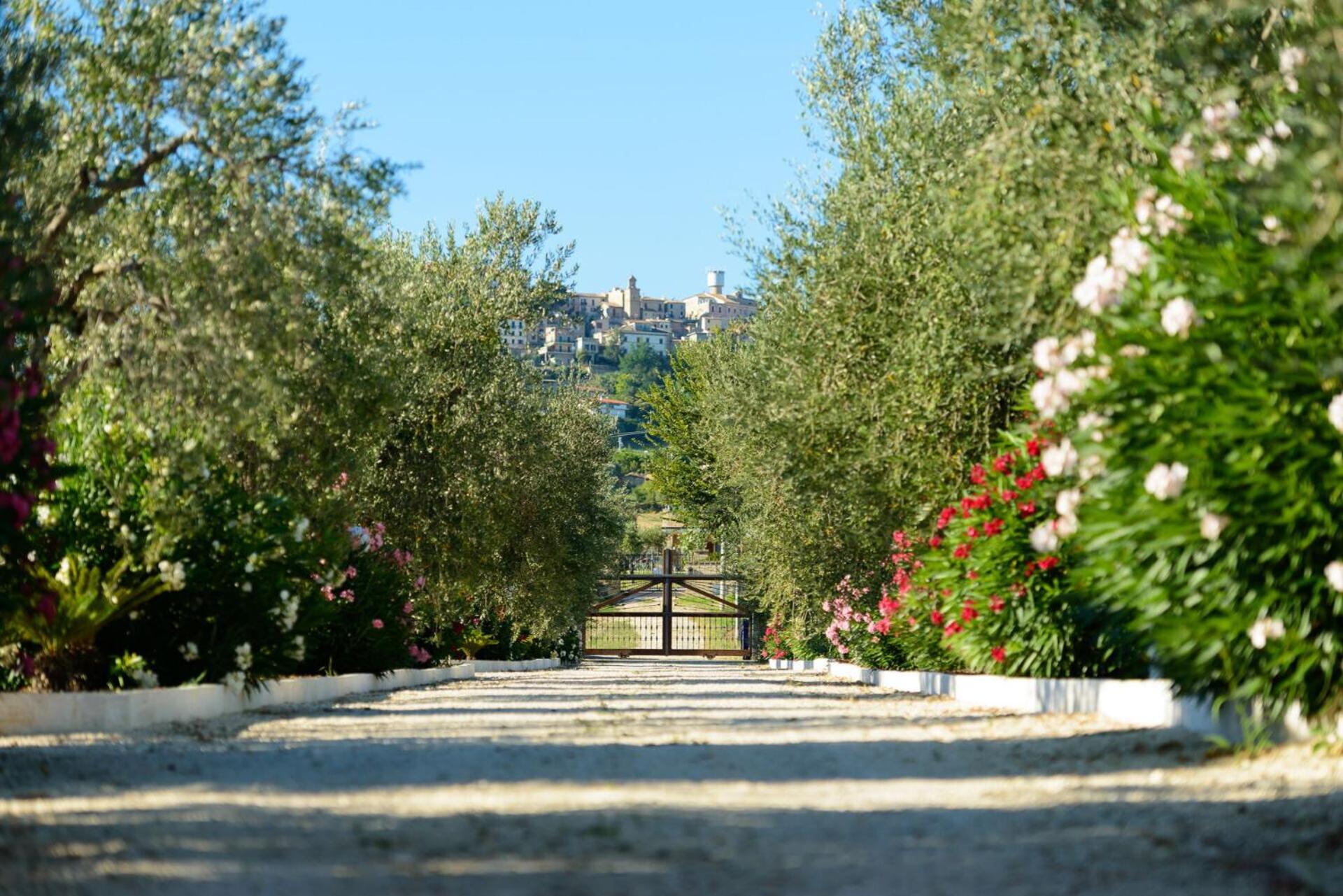Photo 45