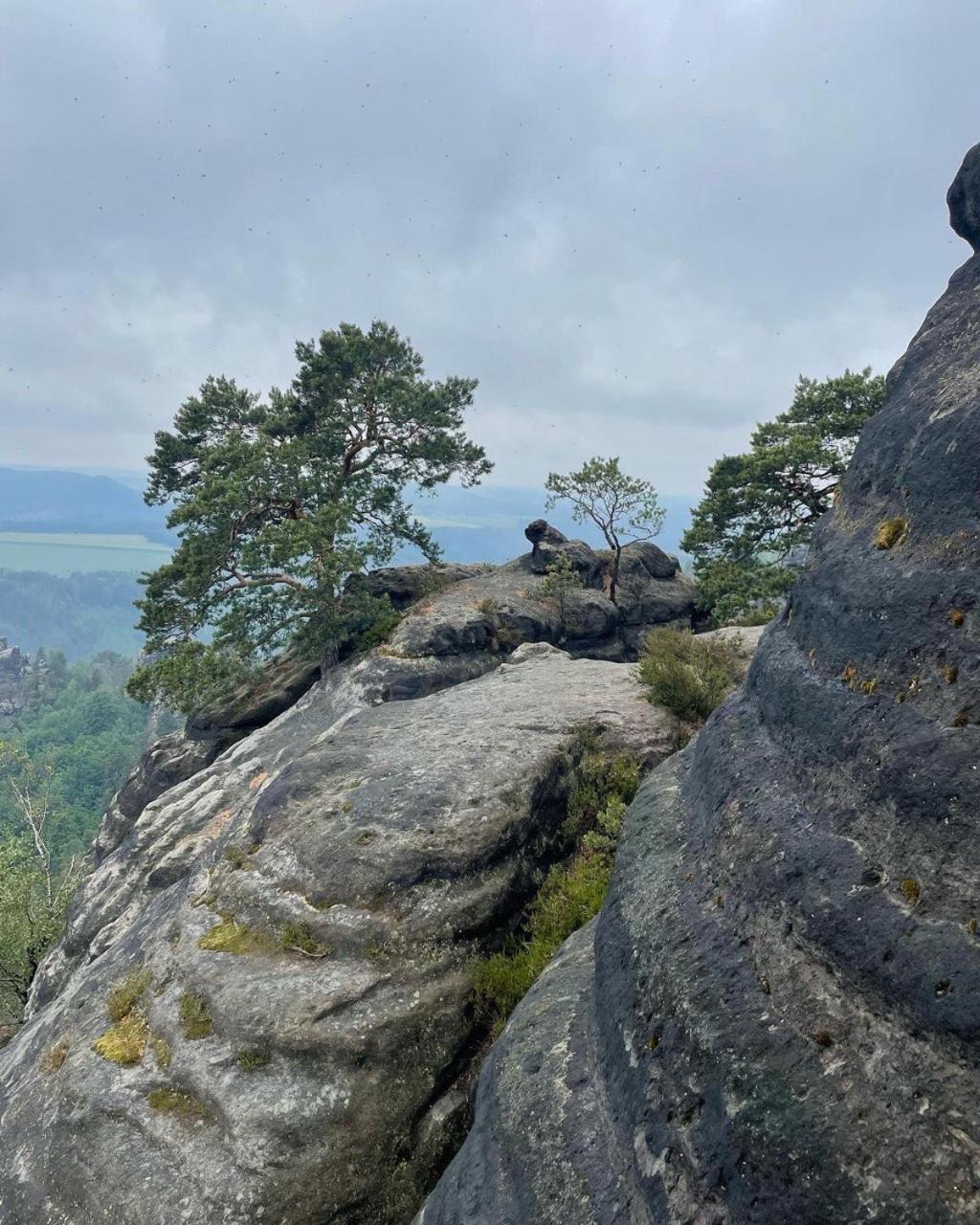 Bergblick Apartment Sächsische Schweiz