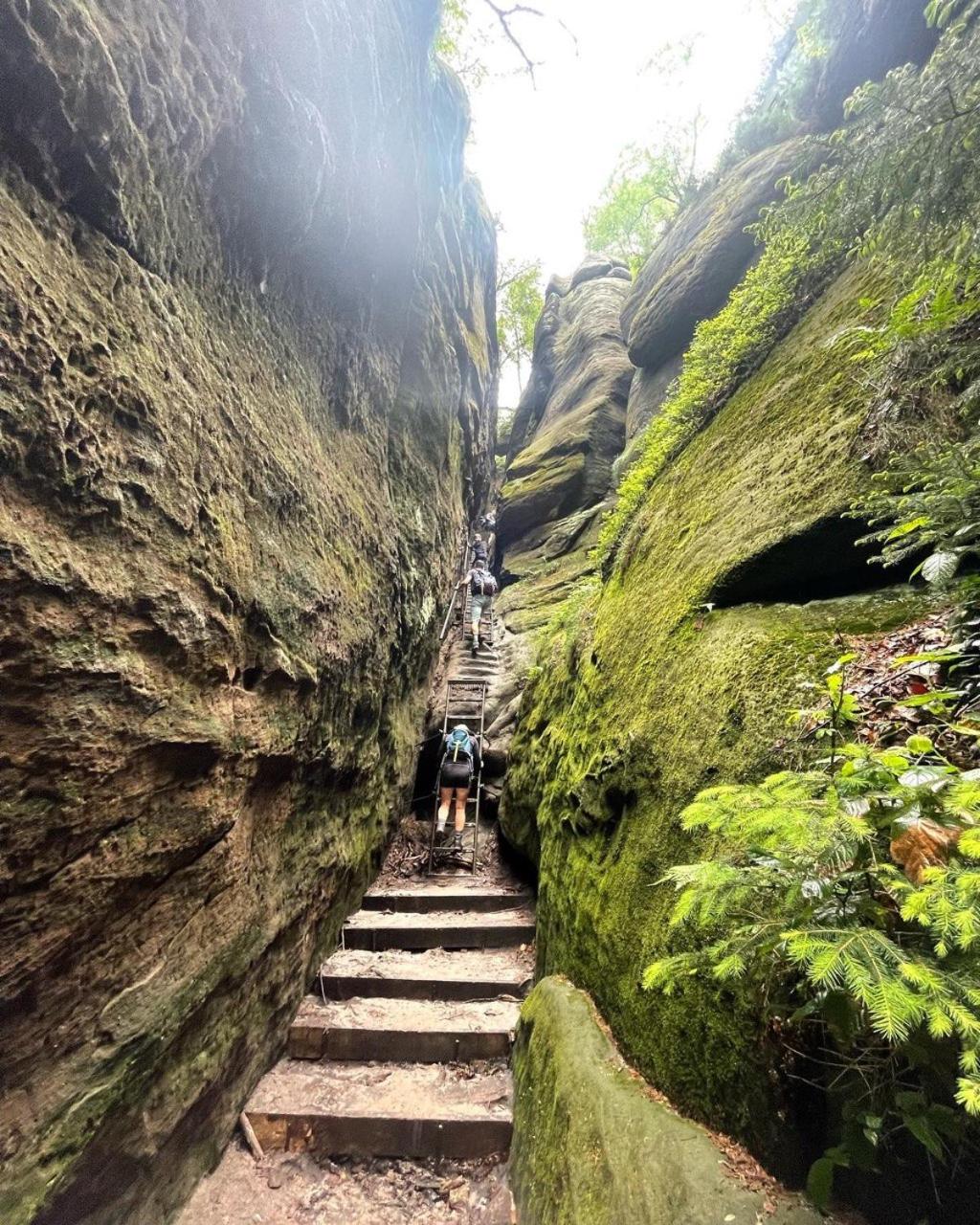 Bergblick Apartment Sächsische Schweiz
