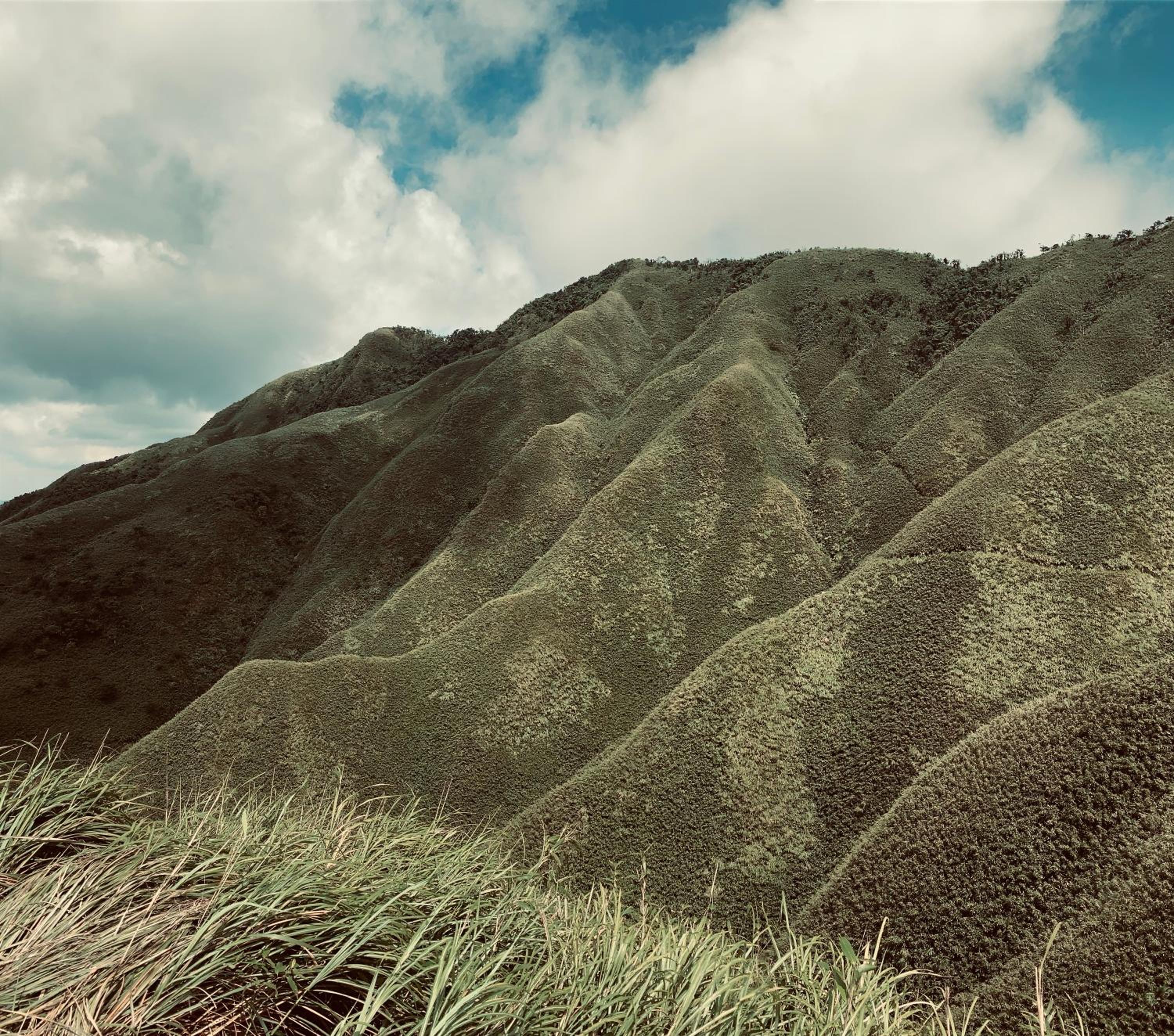 Photo 45