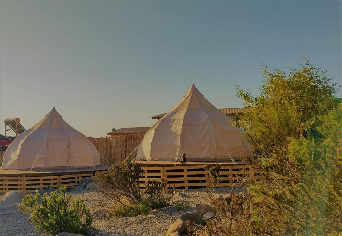 Totoralillo Glamping