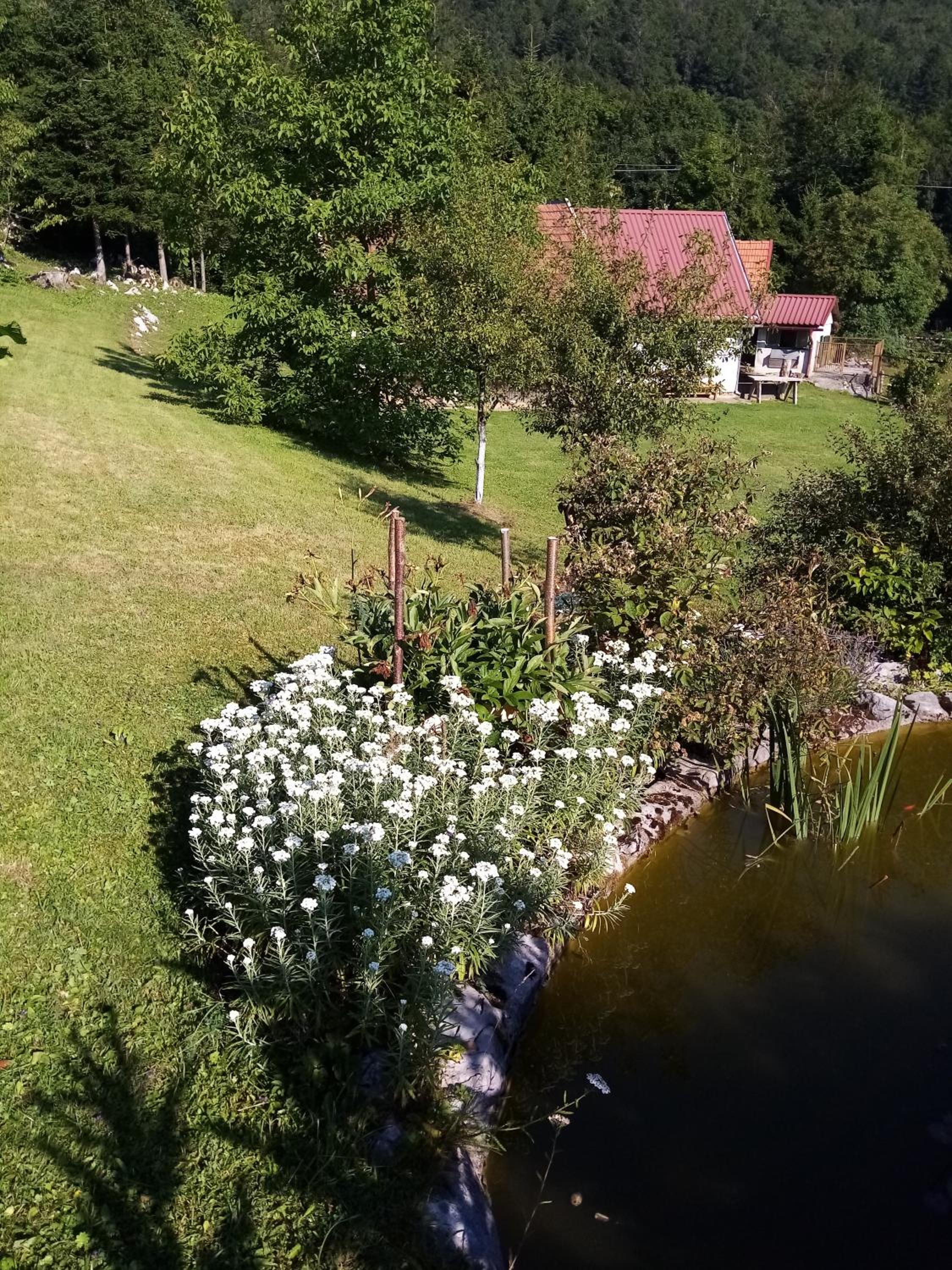 Apartmani Gruzdovo