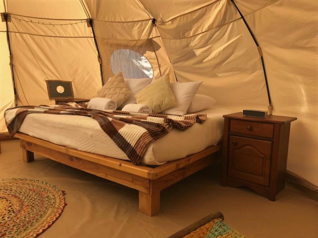 Totoralillo Glamping