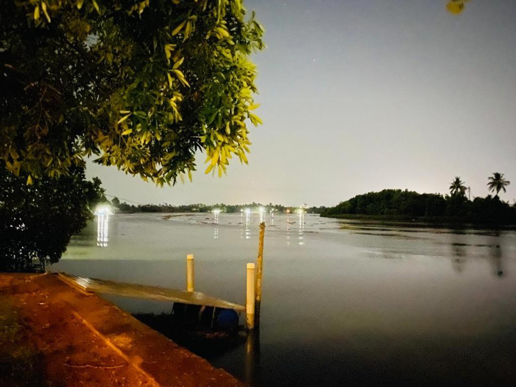 Anaya's Lake House view 5
