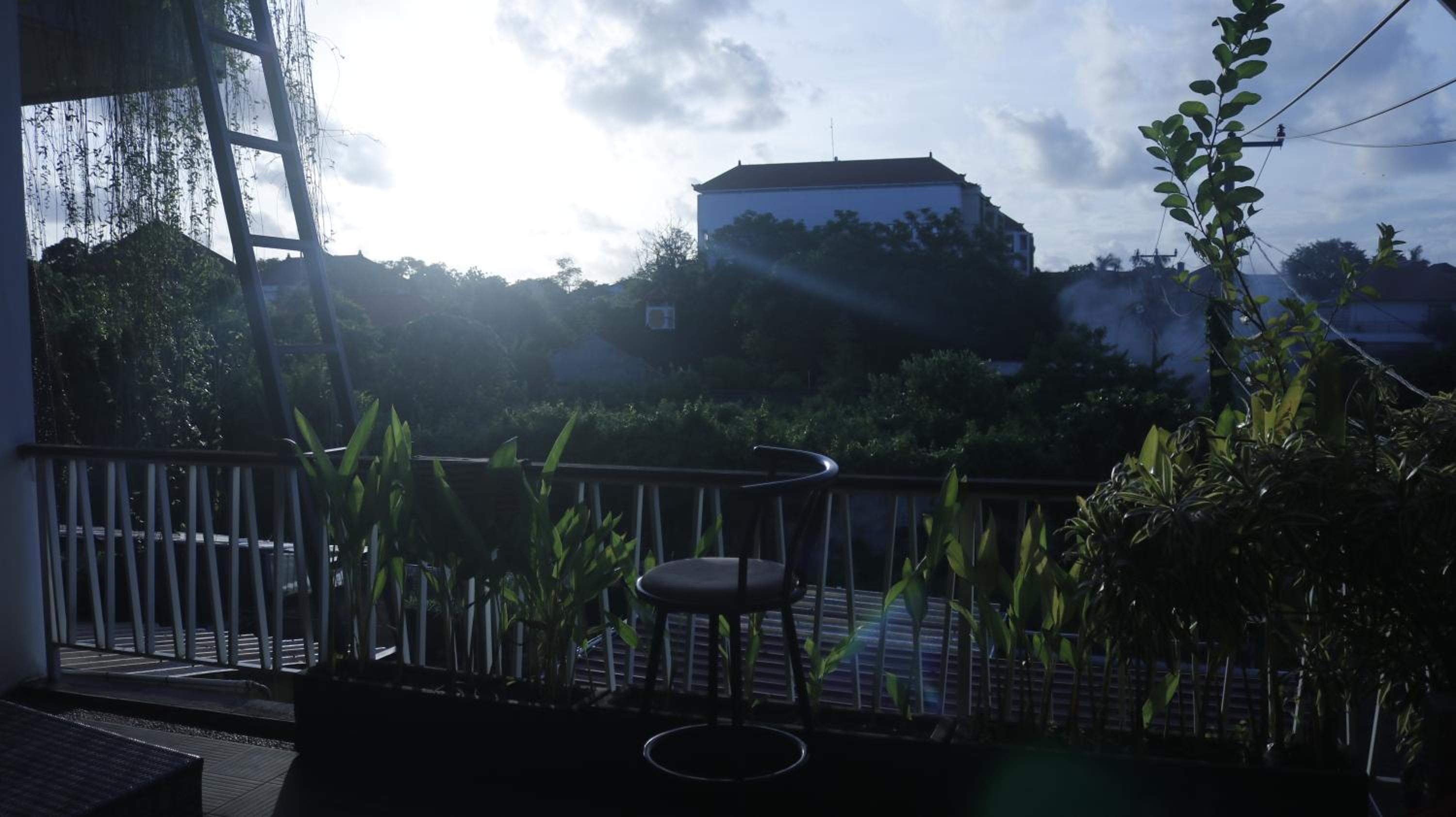 Photo 43