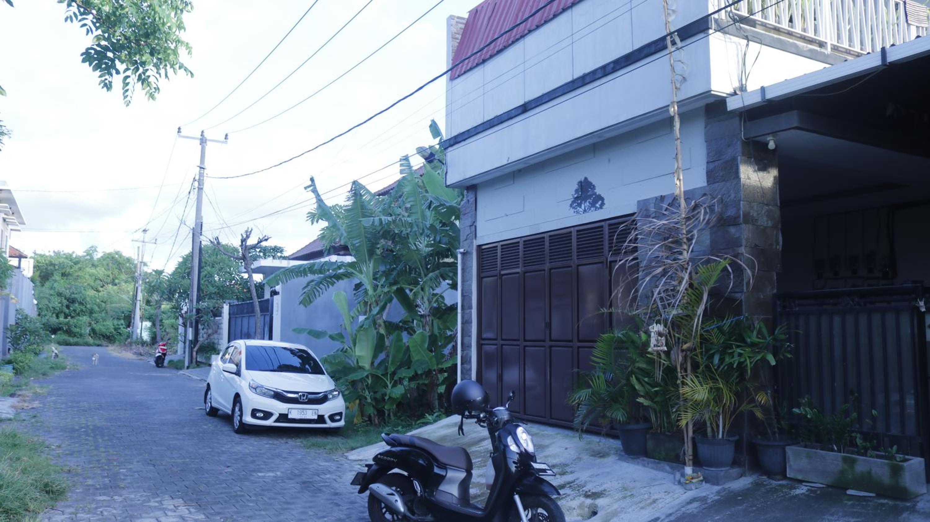 Photo 48