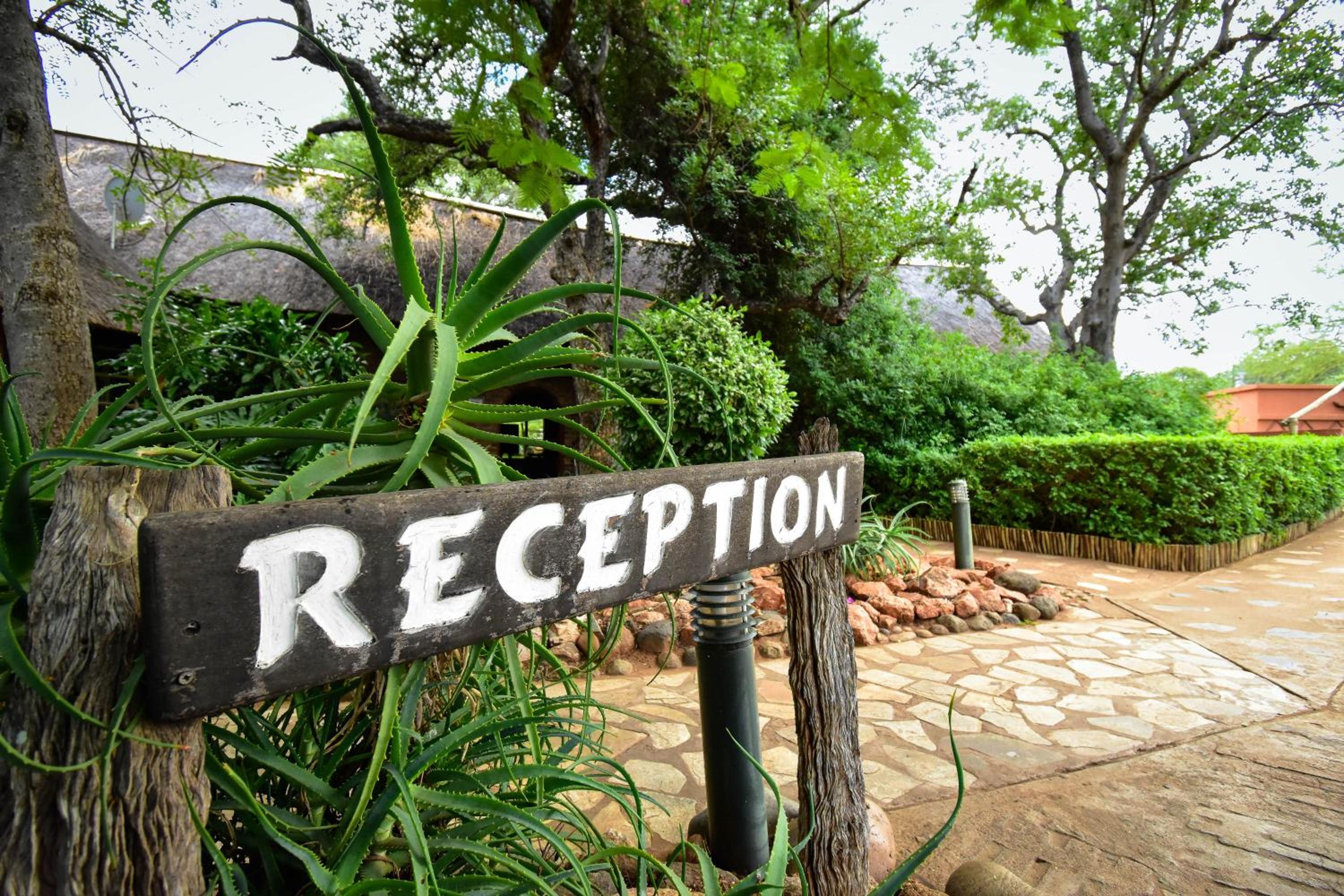 recepcion & lobby