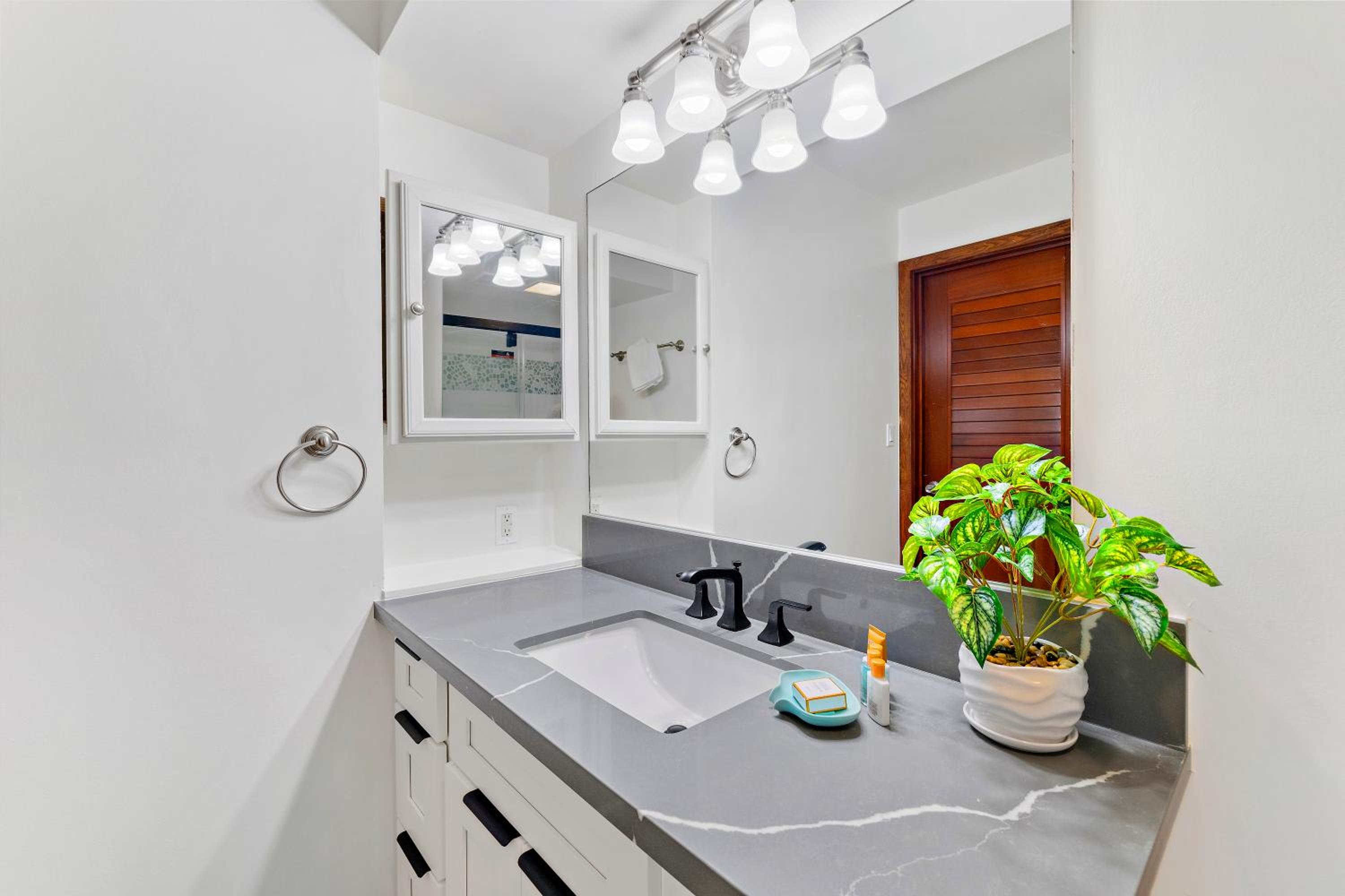Oceanview condo with lanai & beach access: bathroom photo