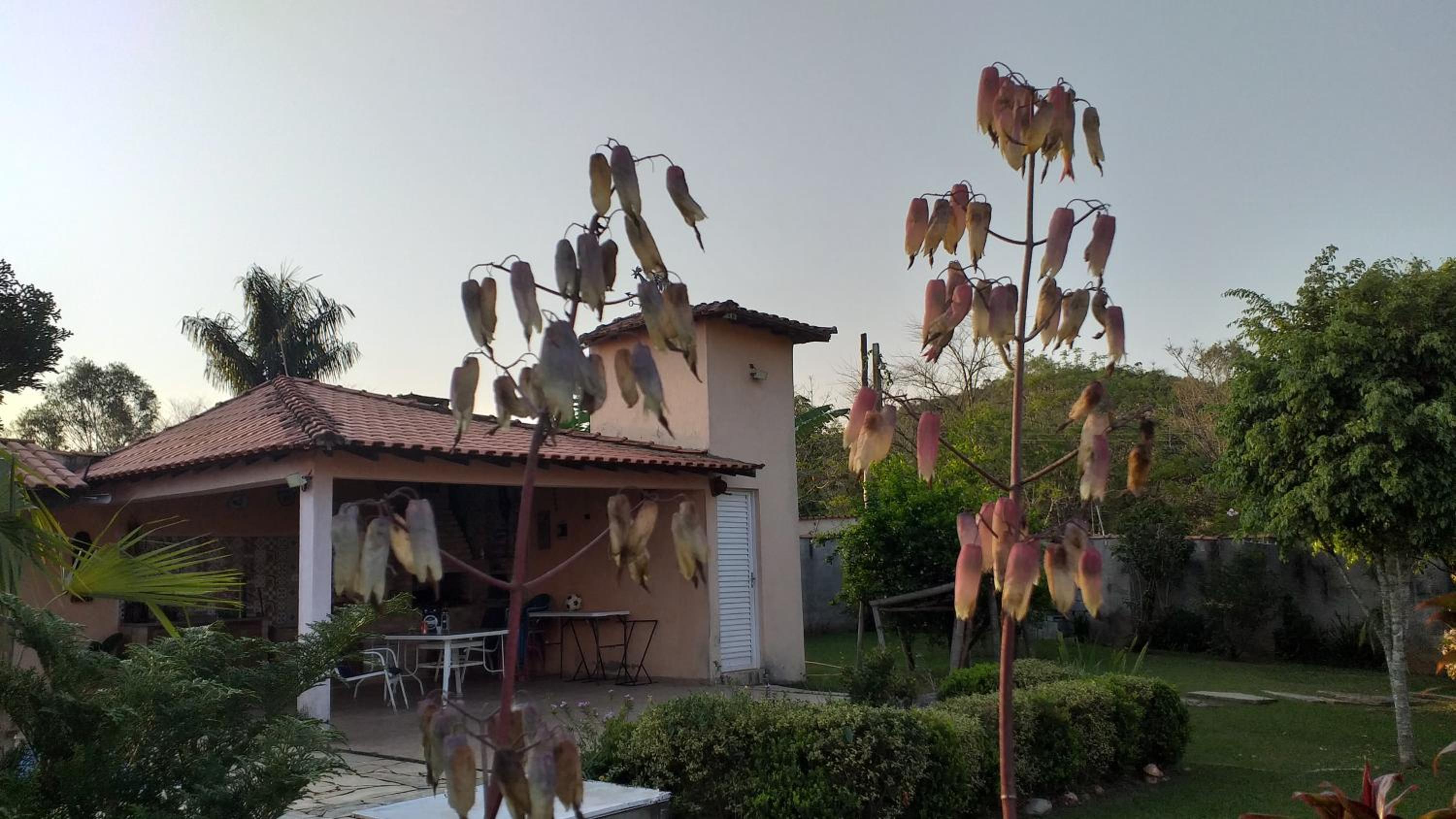 Rancho do Colega