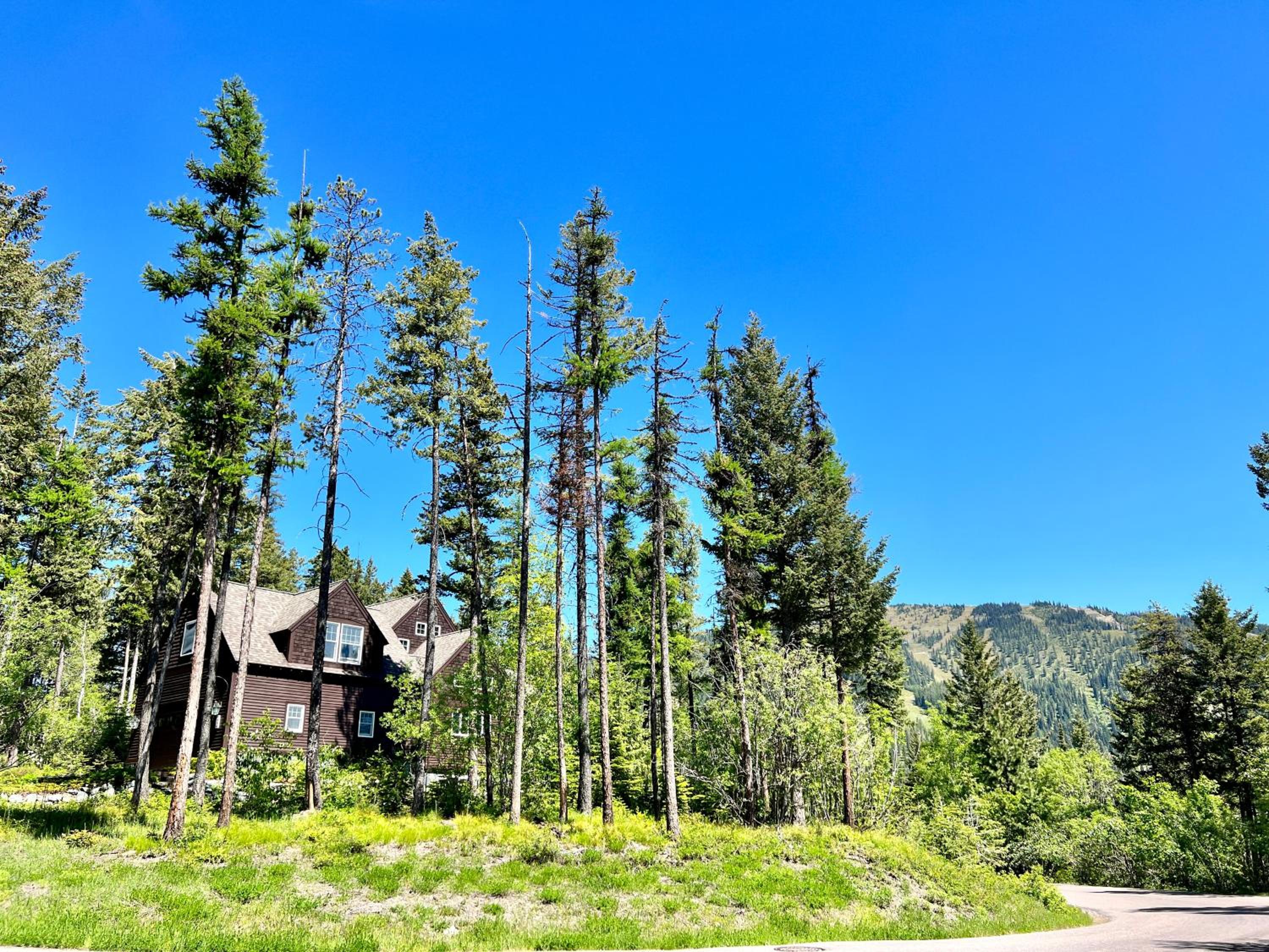 Brown Bear Chalet view 3