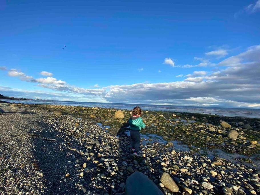 Incredible House in front of Strait of Magellan