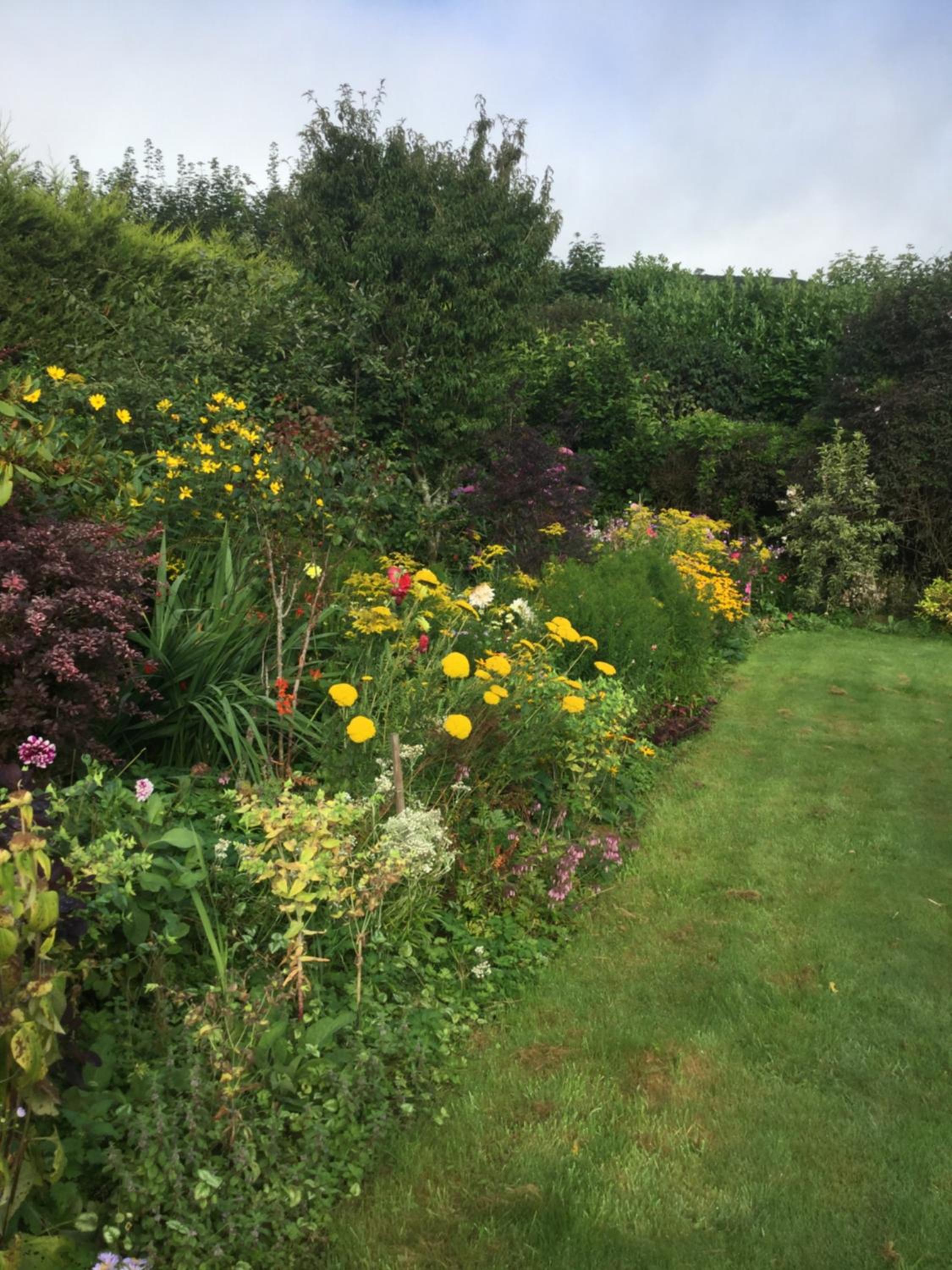 Corndonford farm